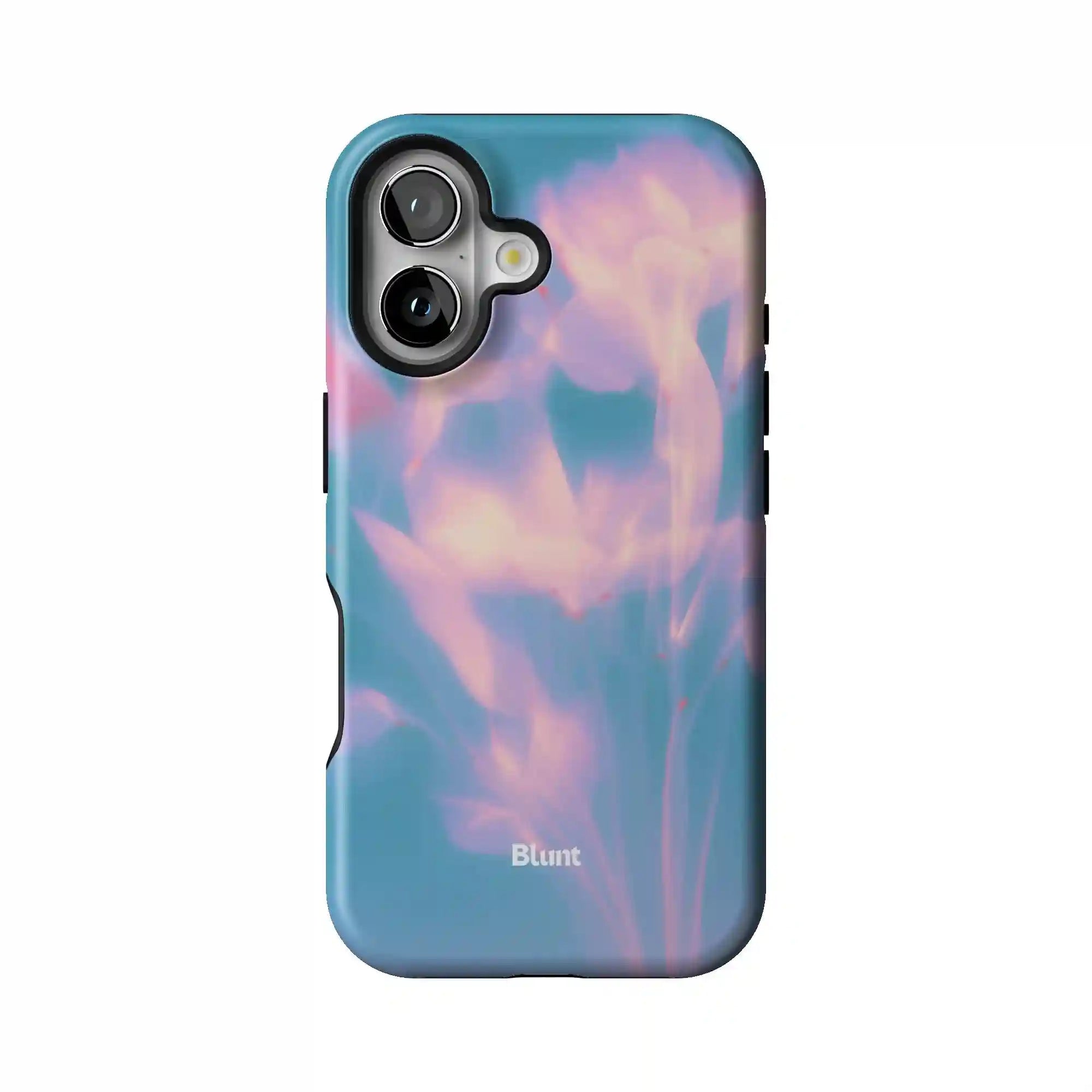 bluntcasesonline.com