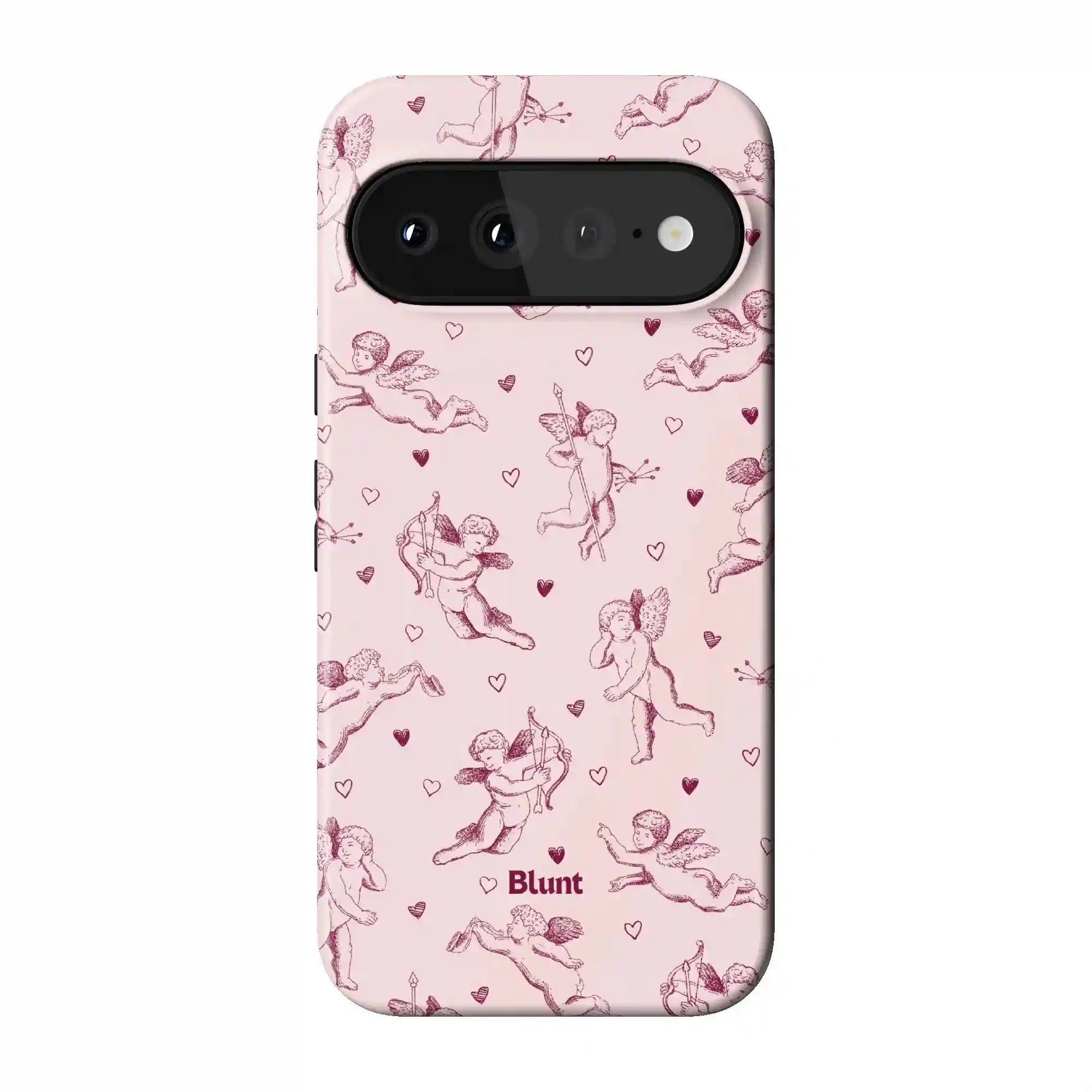 bluntcasesonline.com