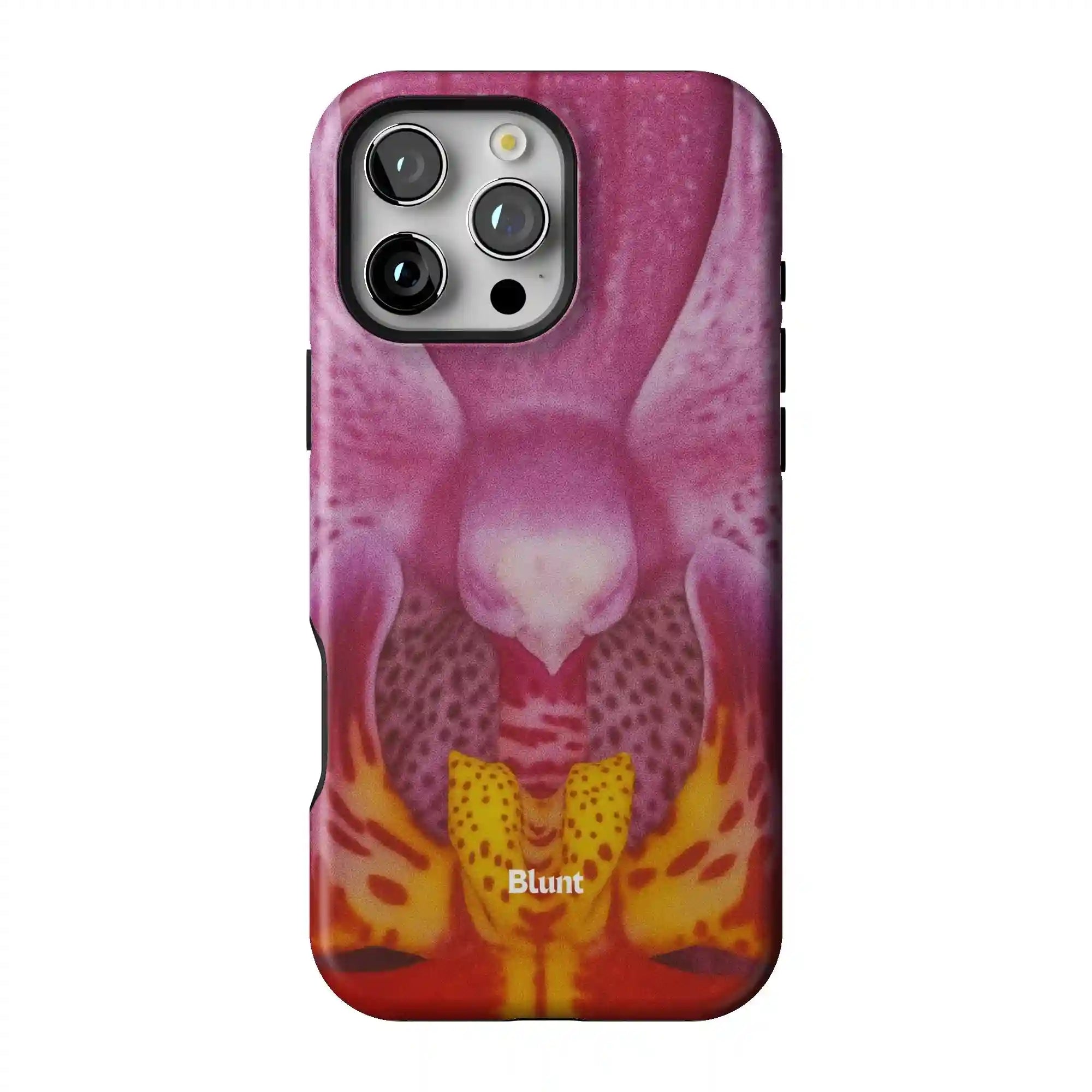 bluntcasesonline.com