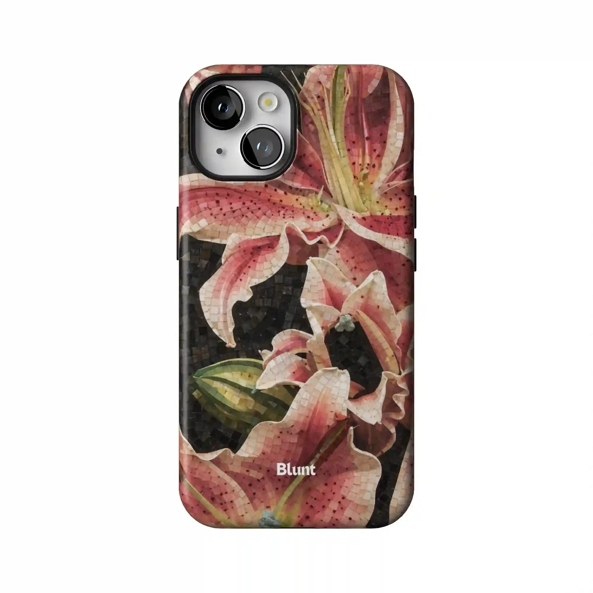 bluntcasesonline.com