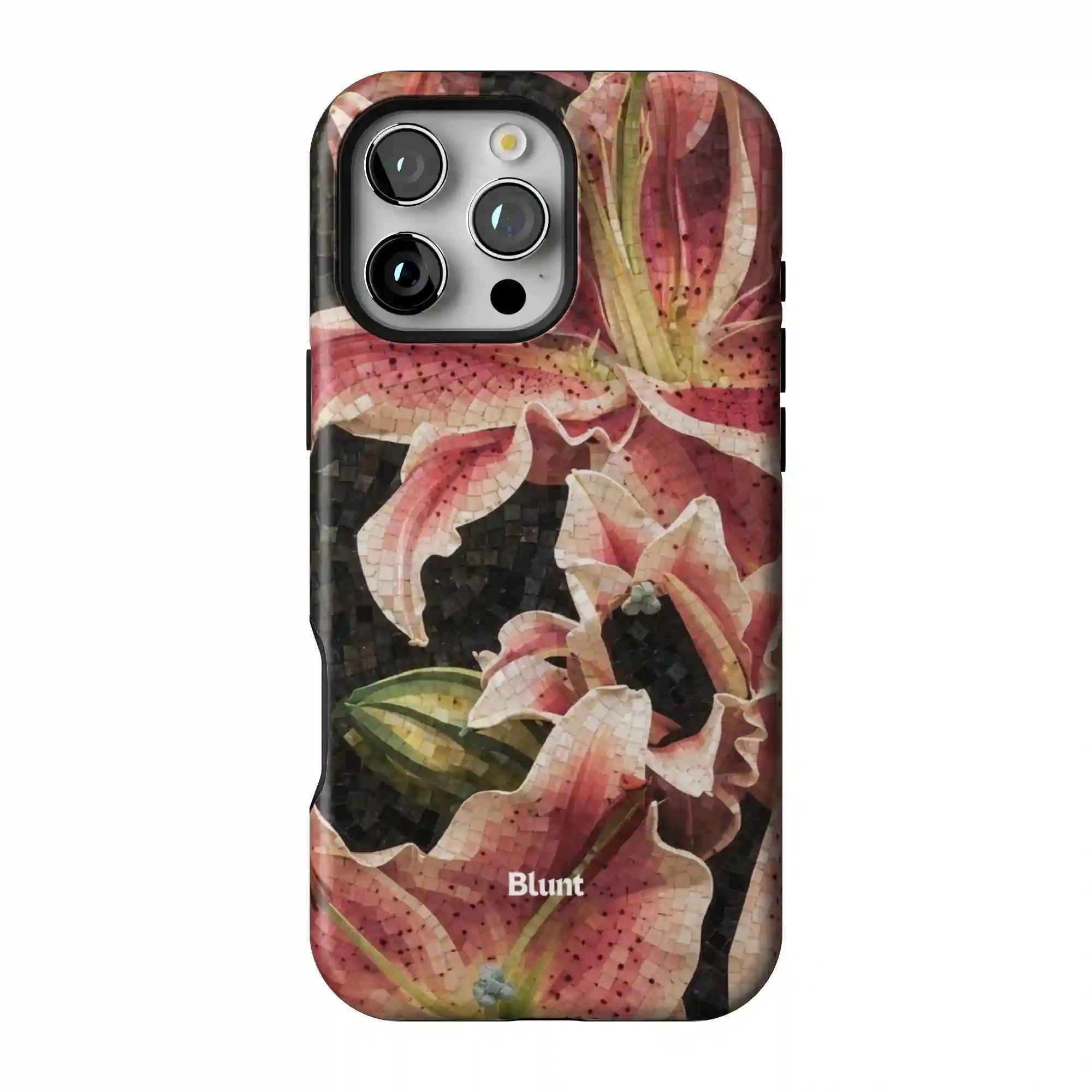 bluntcasesonline.com