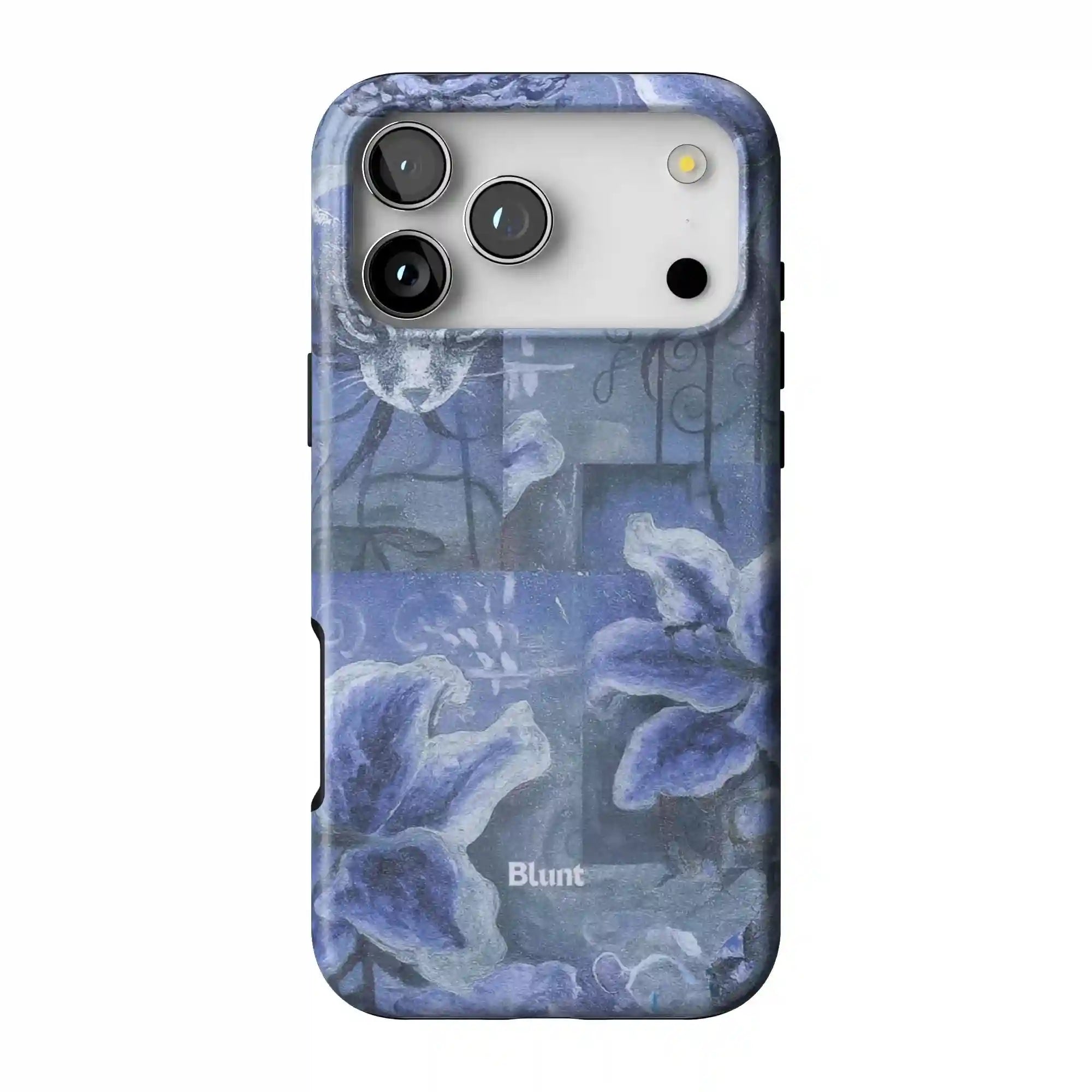 bluntcasesonline.com