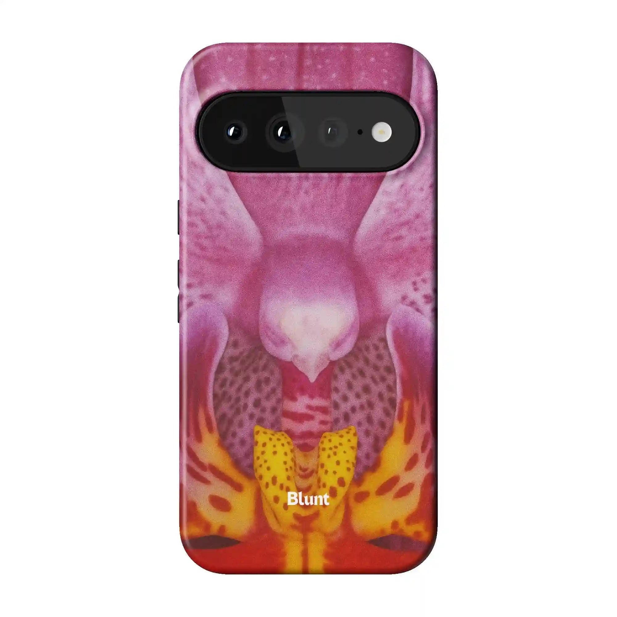 bluntcasesonline.com
