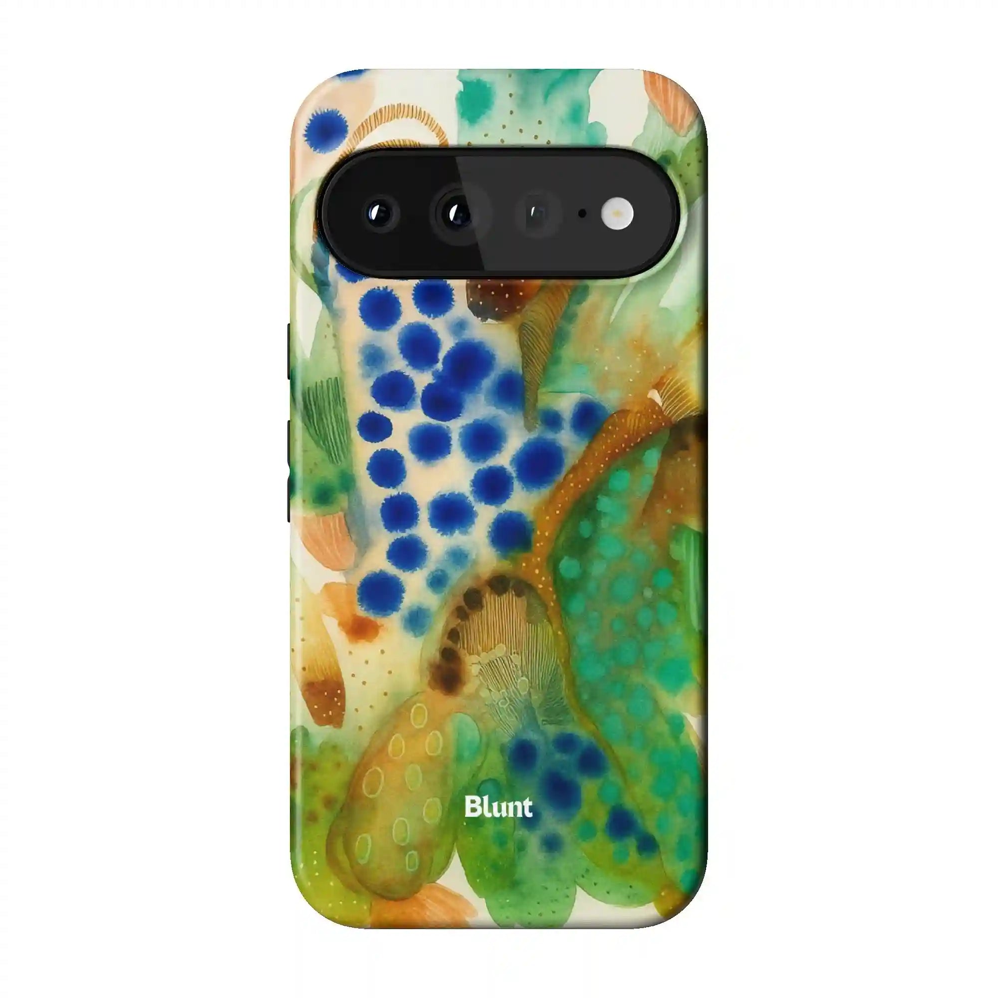 bluntcasesonline.com
