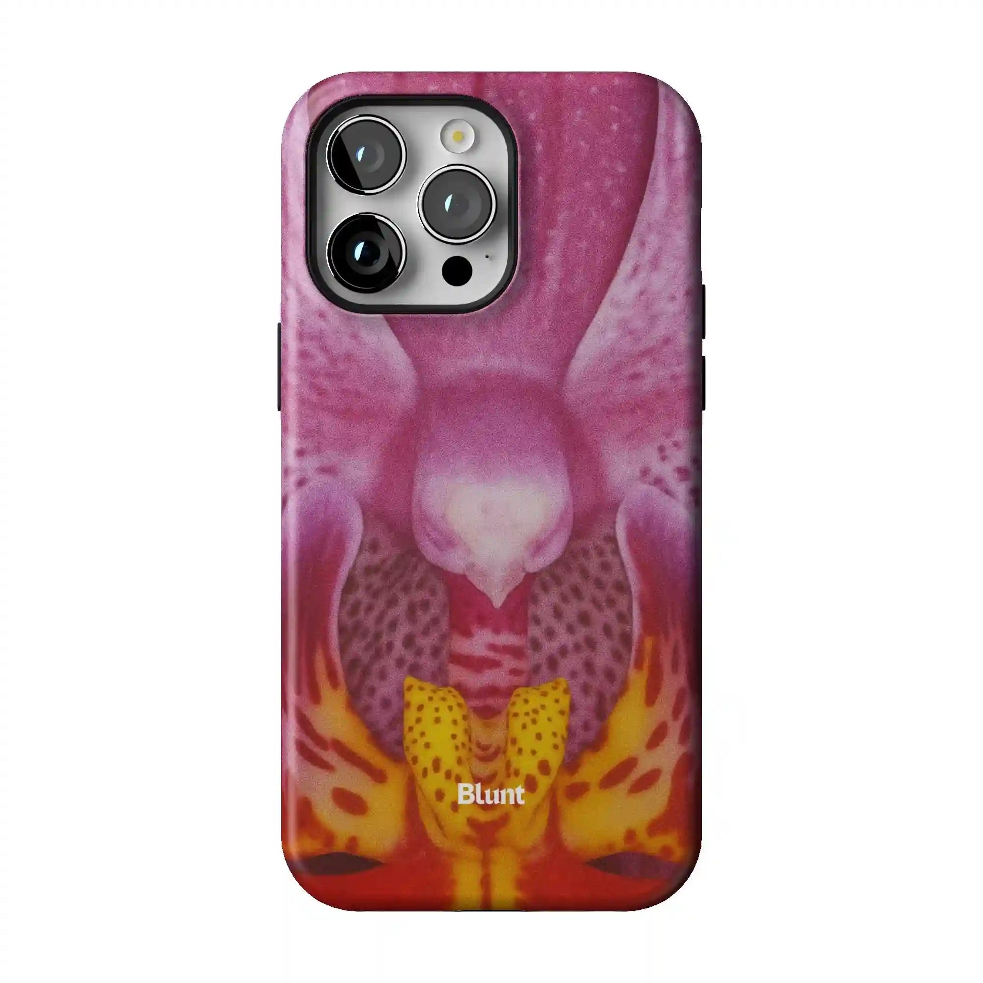 bluntcasesonline.com