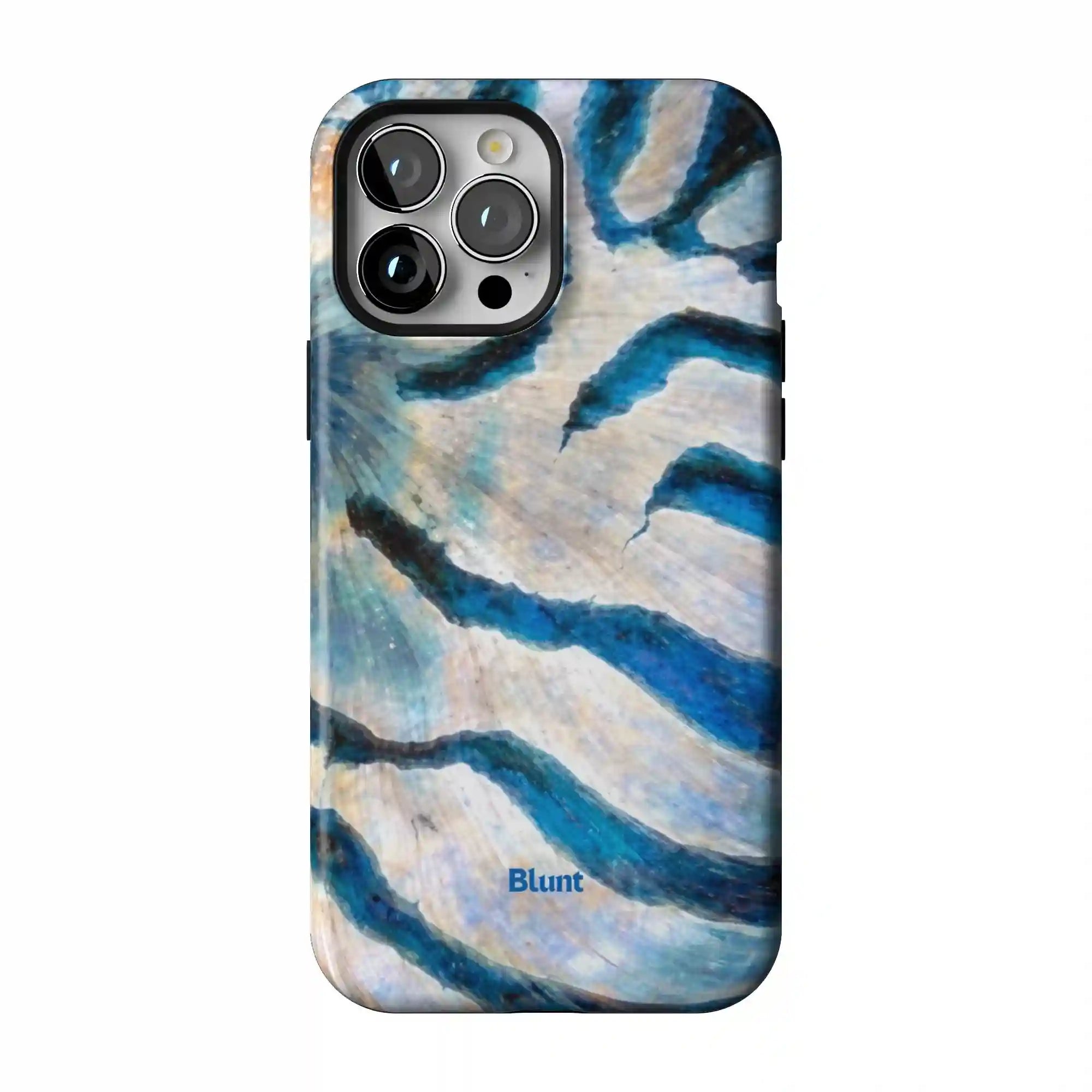 bluntcasesonline.com
