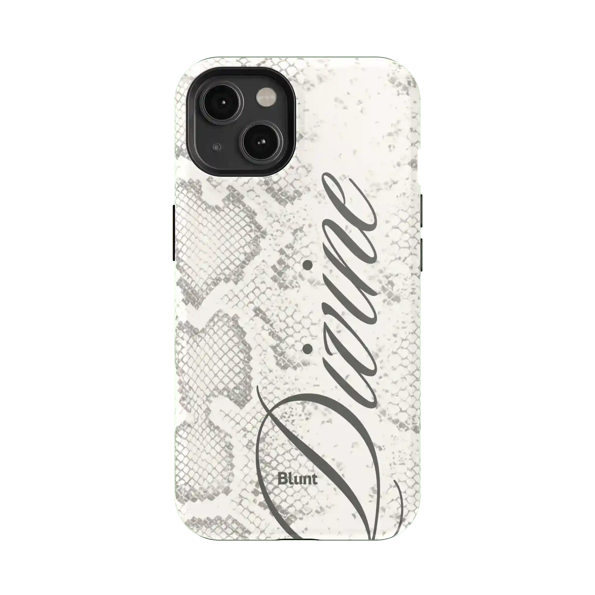 bluntcasesonline.com