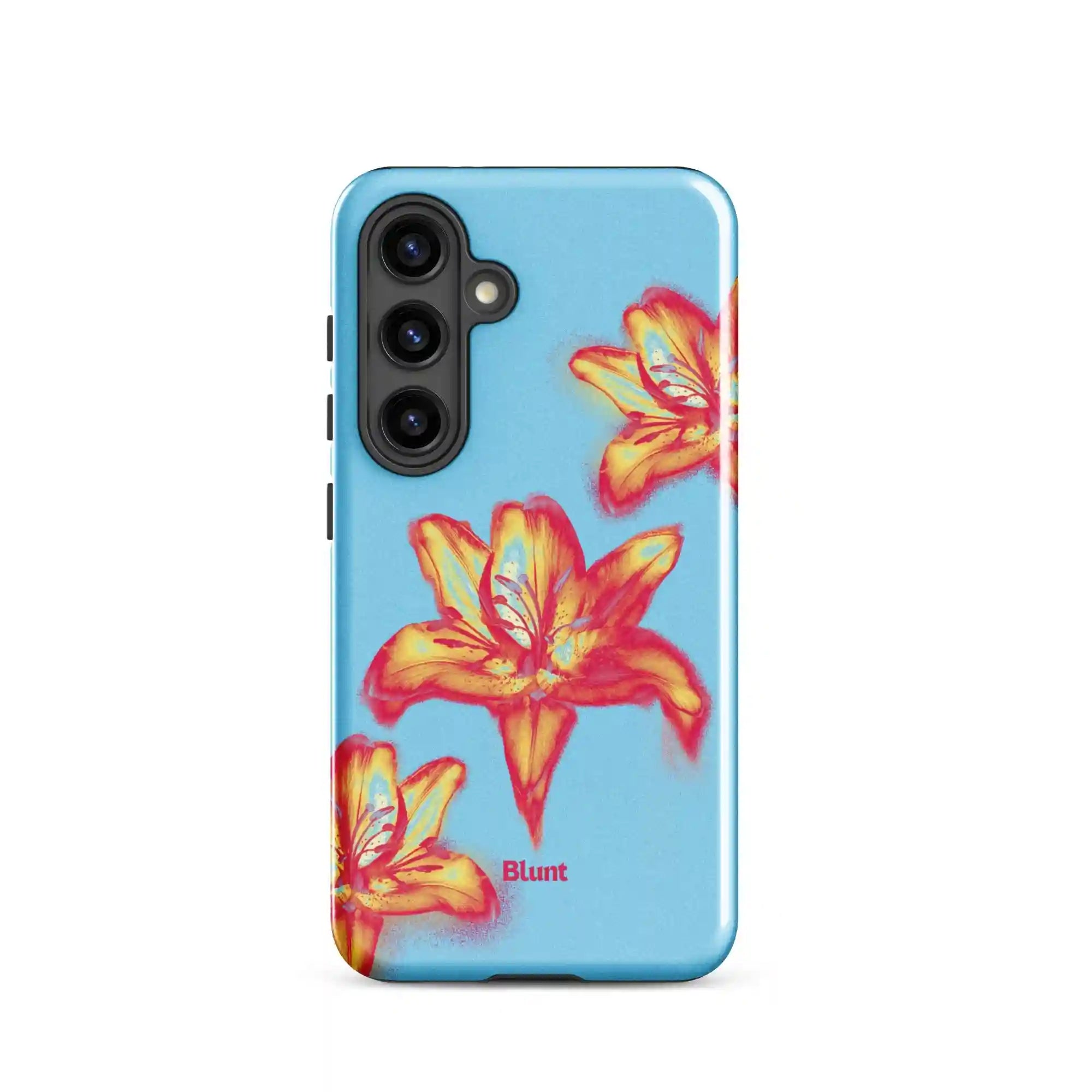 bluntcasesonline.com