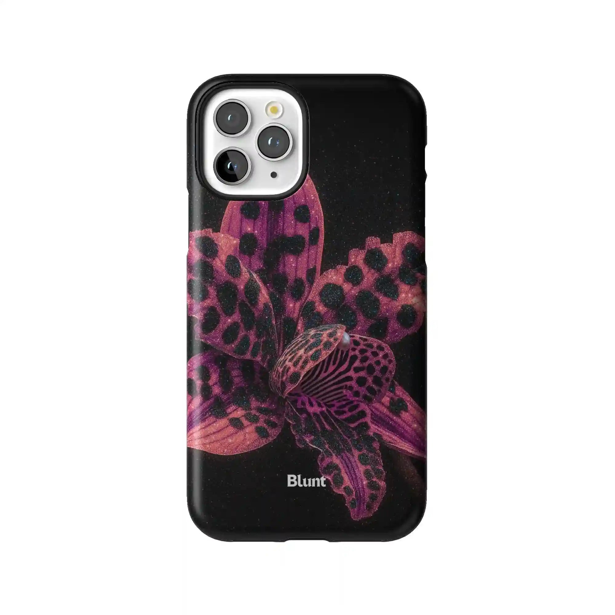 bluntcasesonline.com