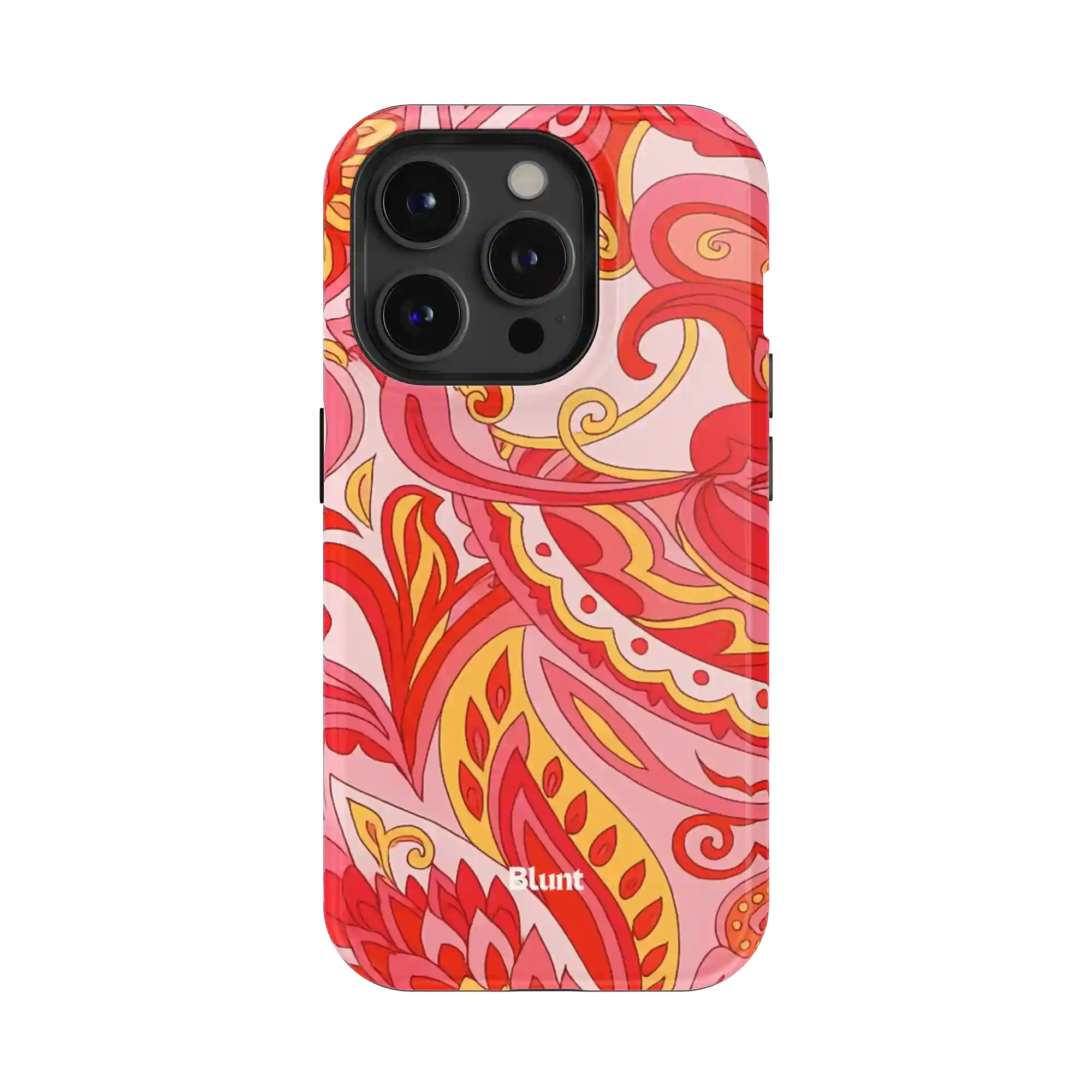 bluntcasesonline.com