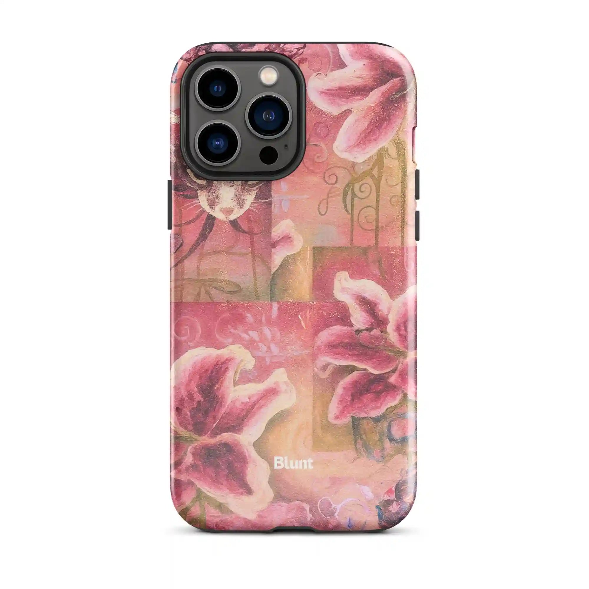 bluntcasesonline.com
