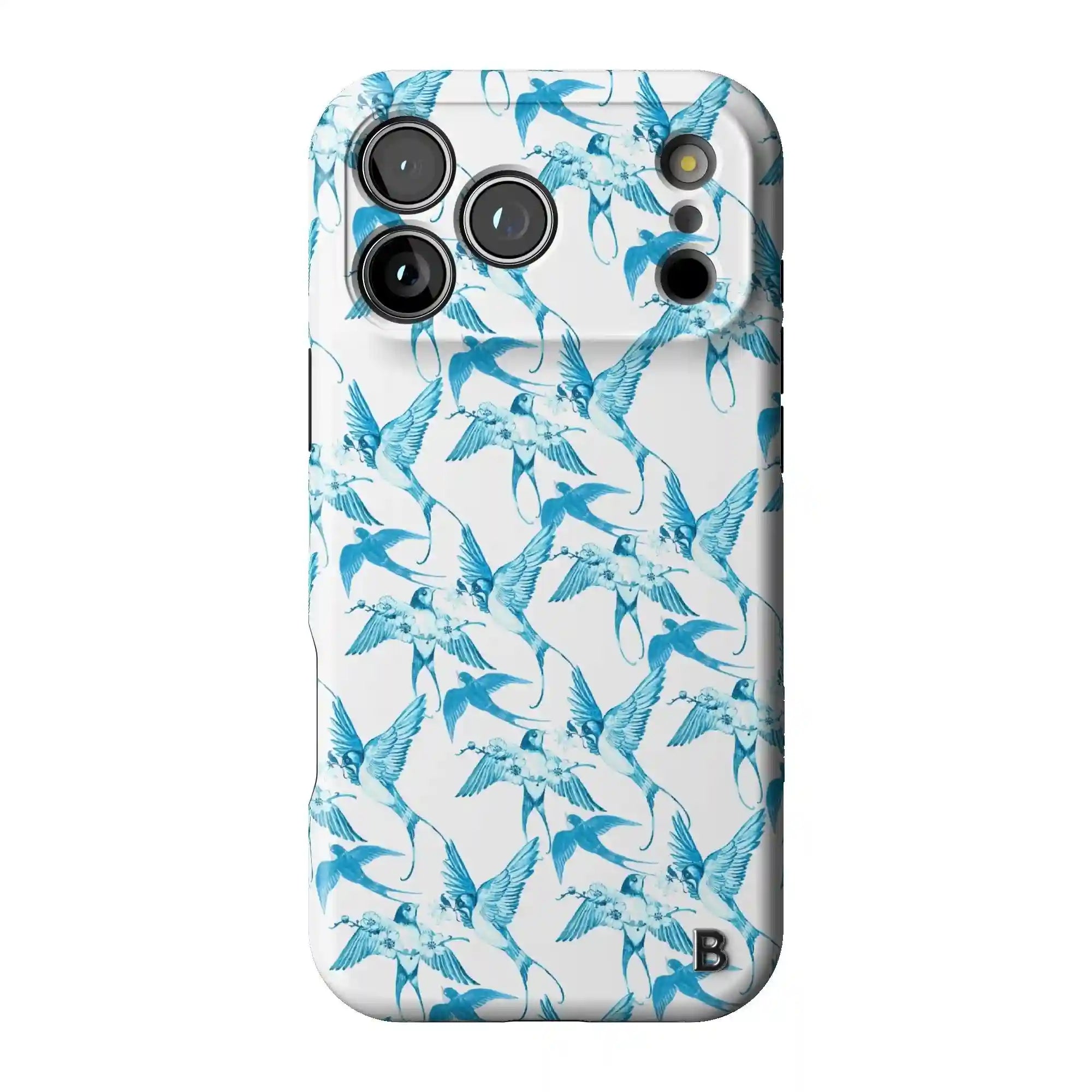 bluntcasesonline.com