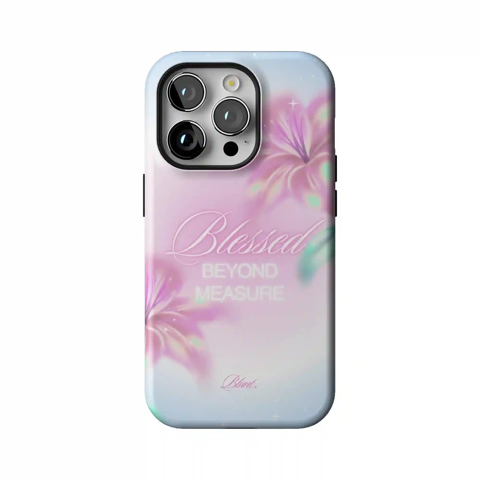 bluntcasesonline.com