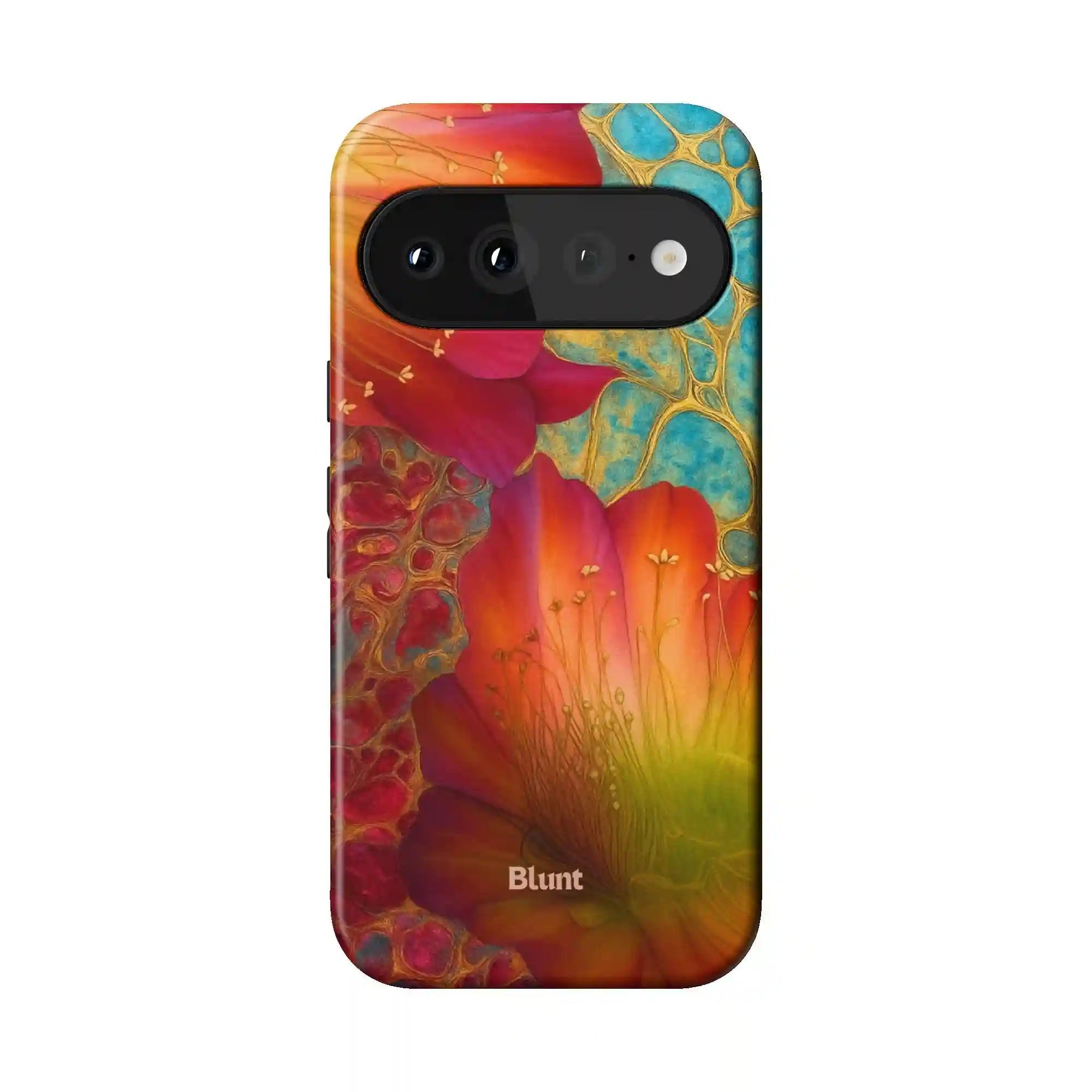 bluntcasesonline.com