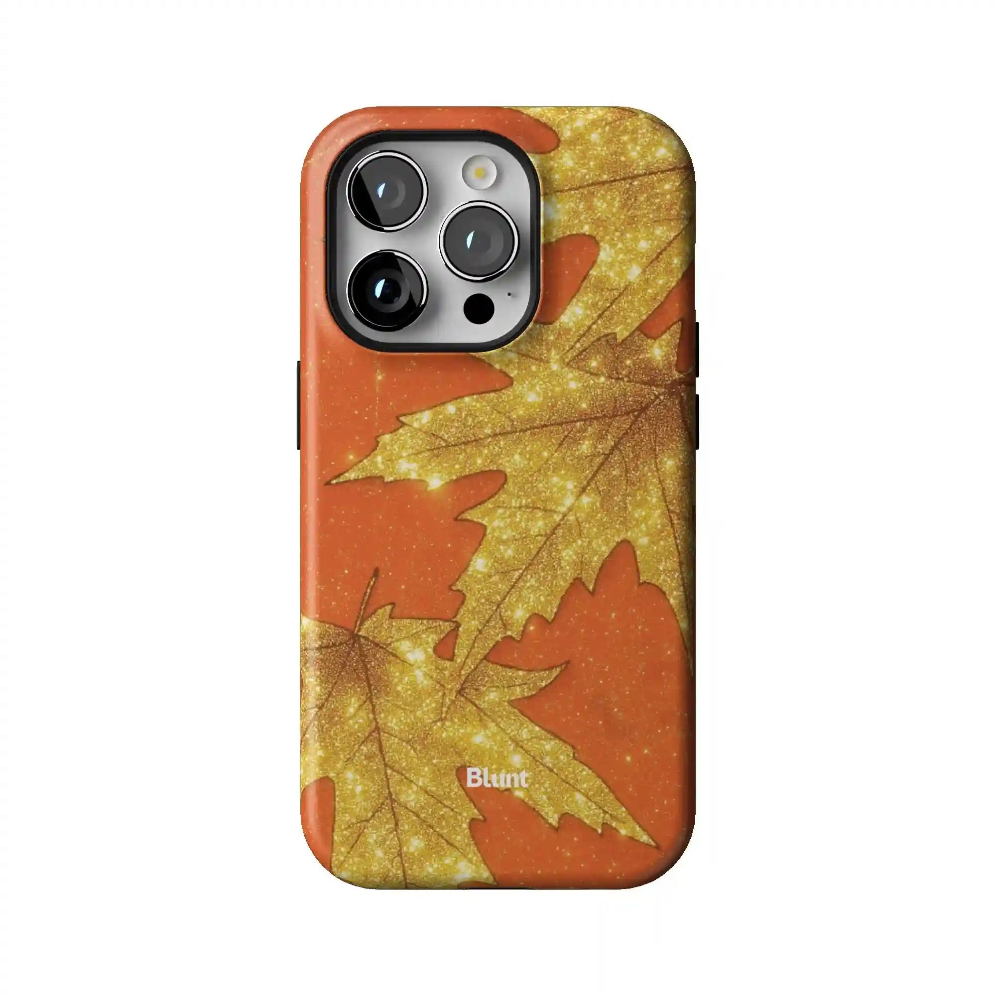 bluntcasesonline.com