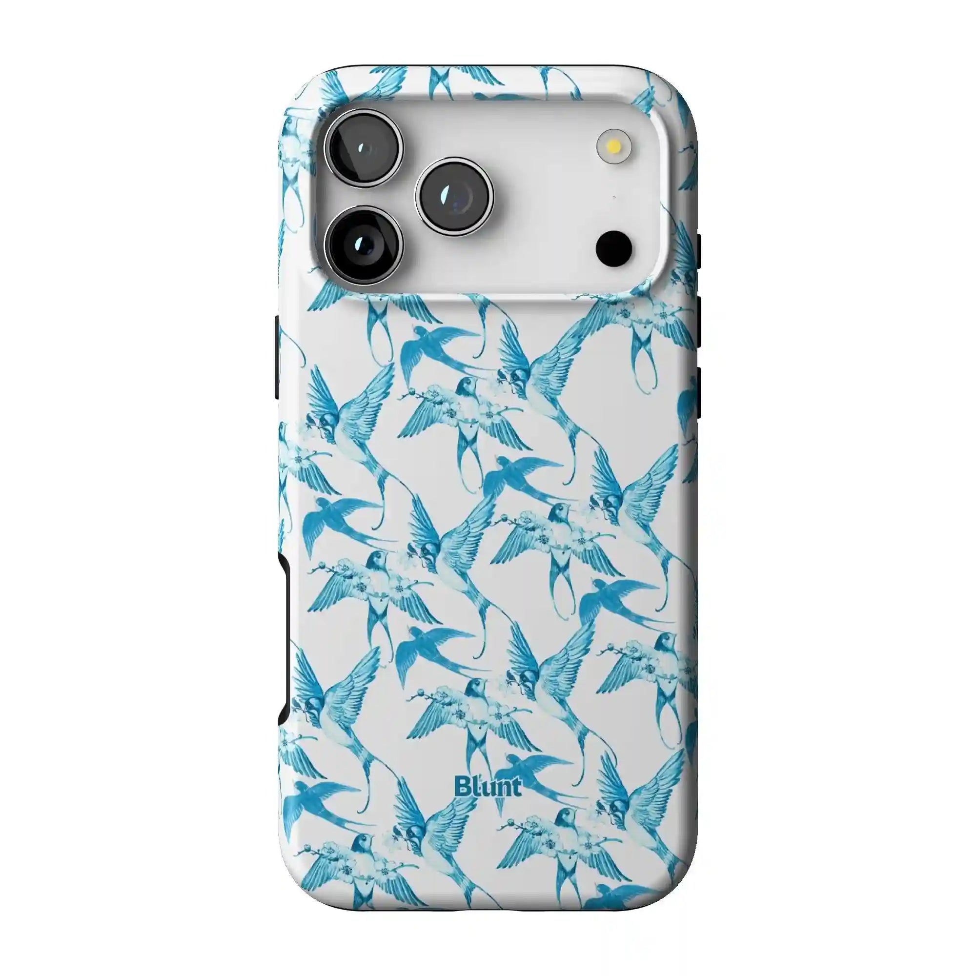bluntcasesonline.com