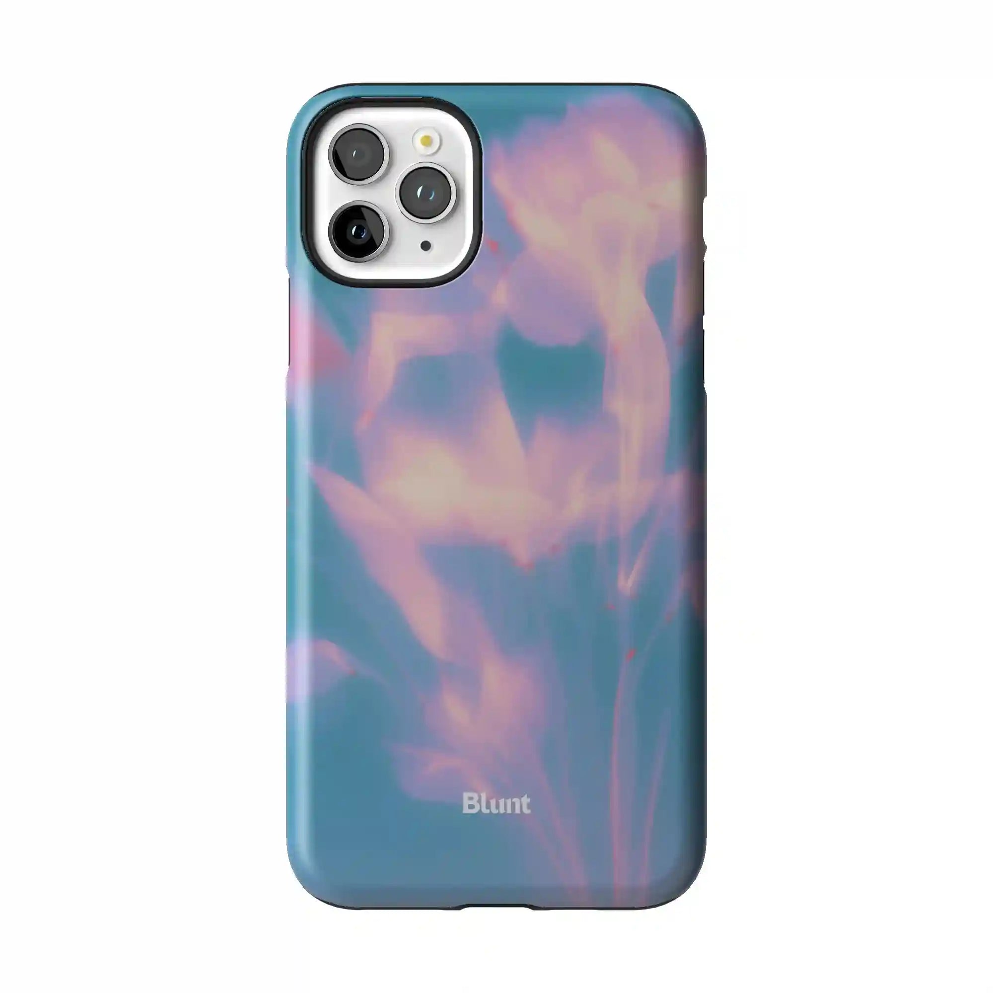 bluntcasesonline.com