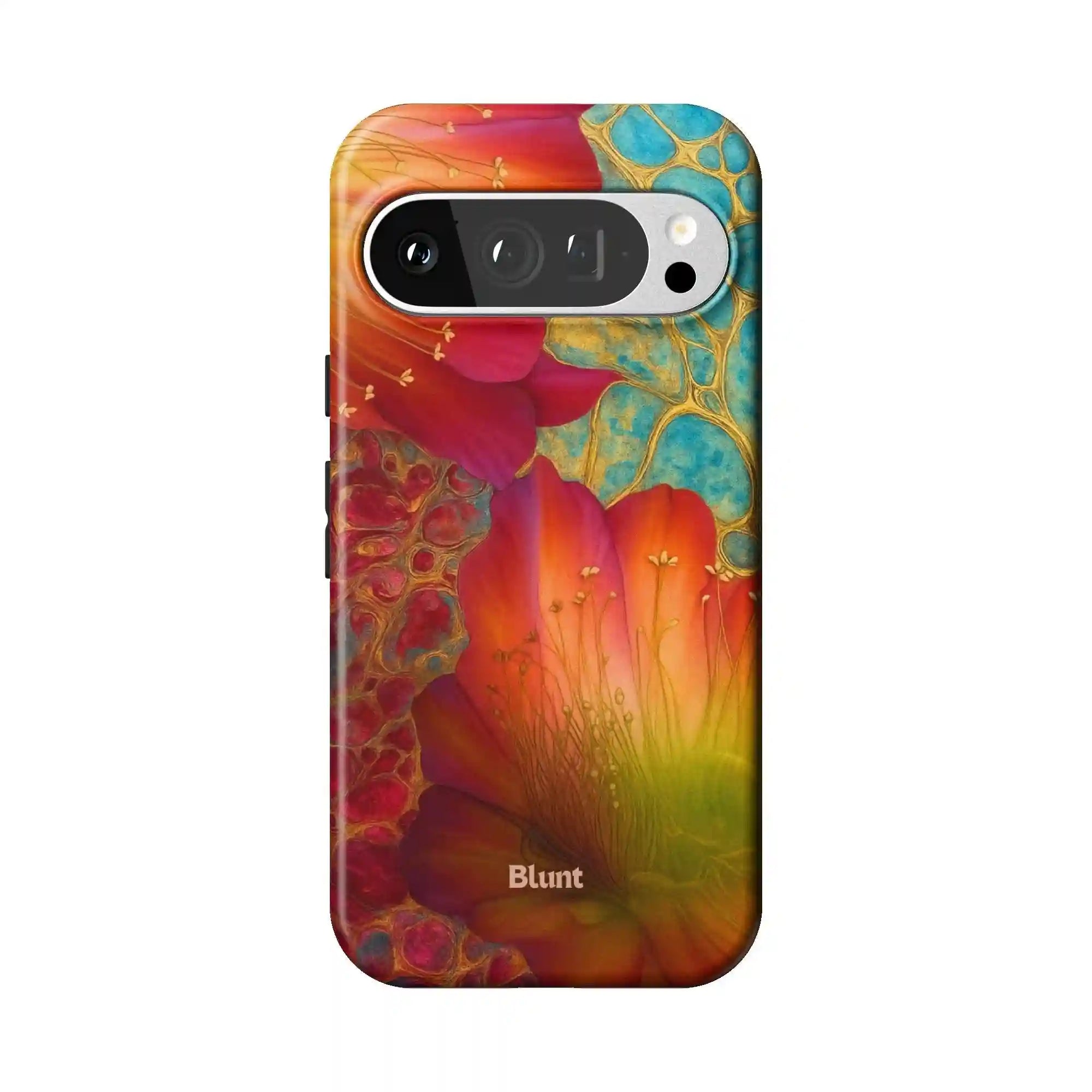 bluntcasesonline.com