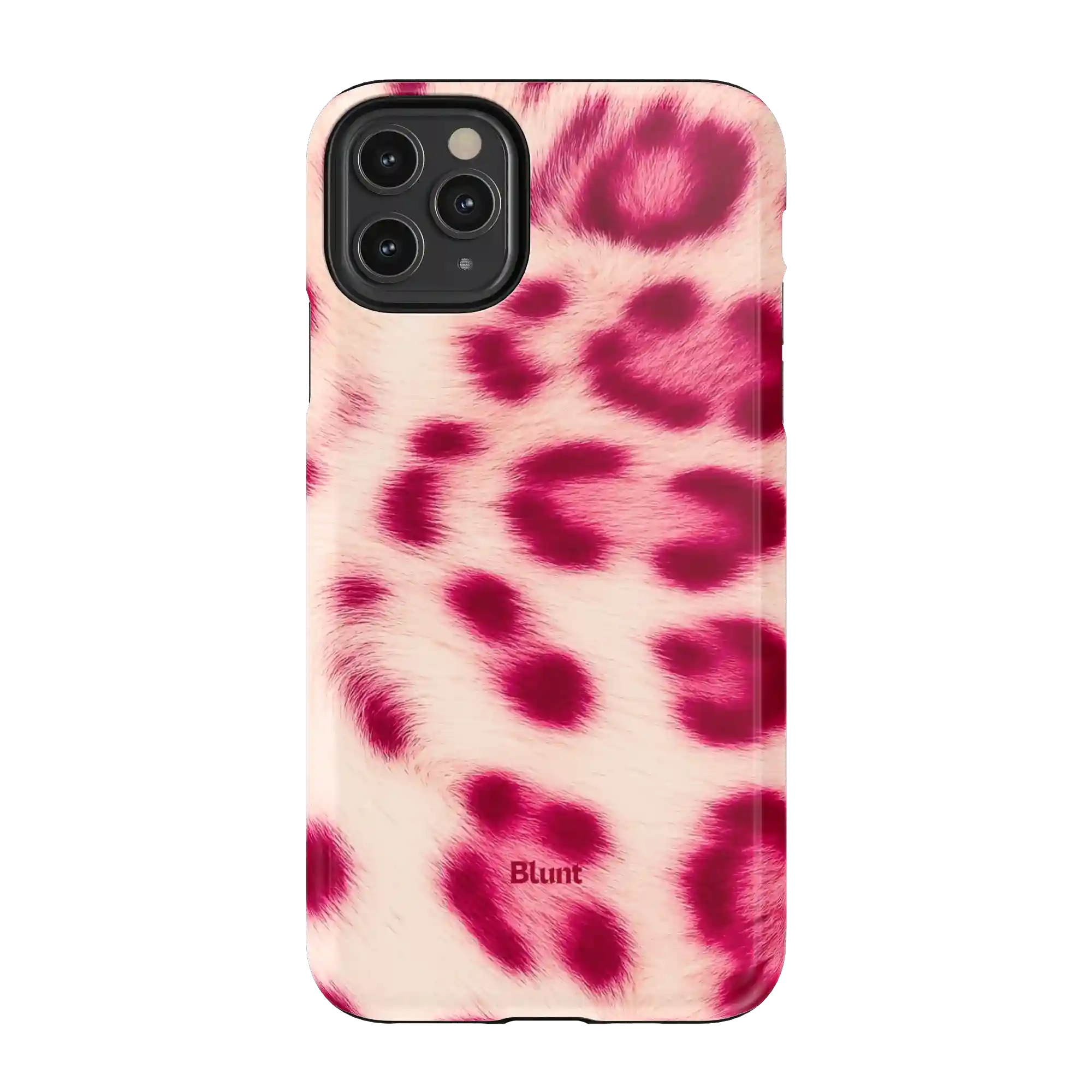 bluntcasesonline.com