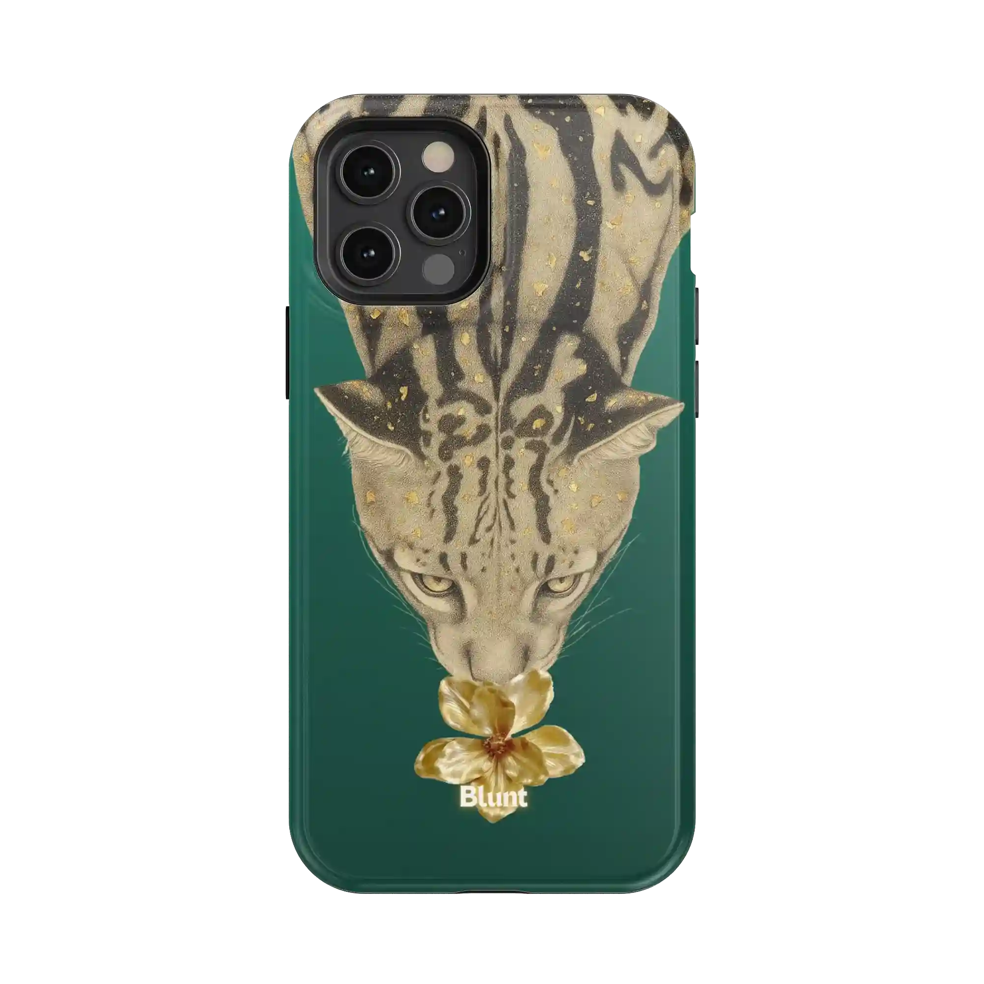 bluntcasesonline.com