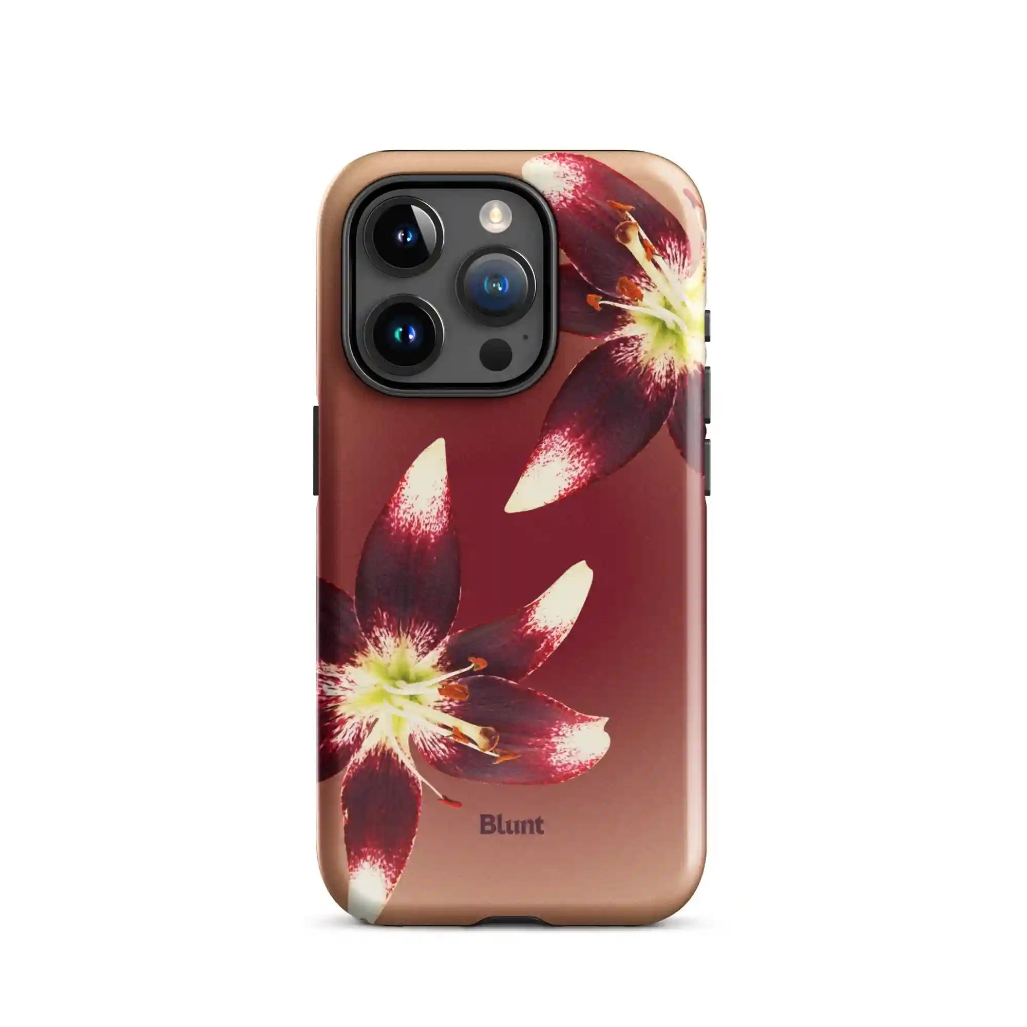 bluntcasesonline.com