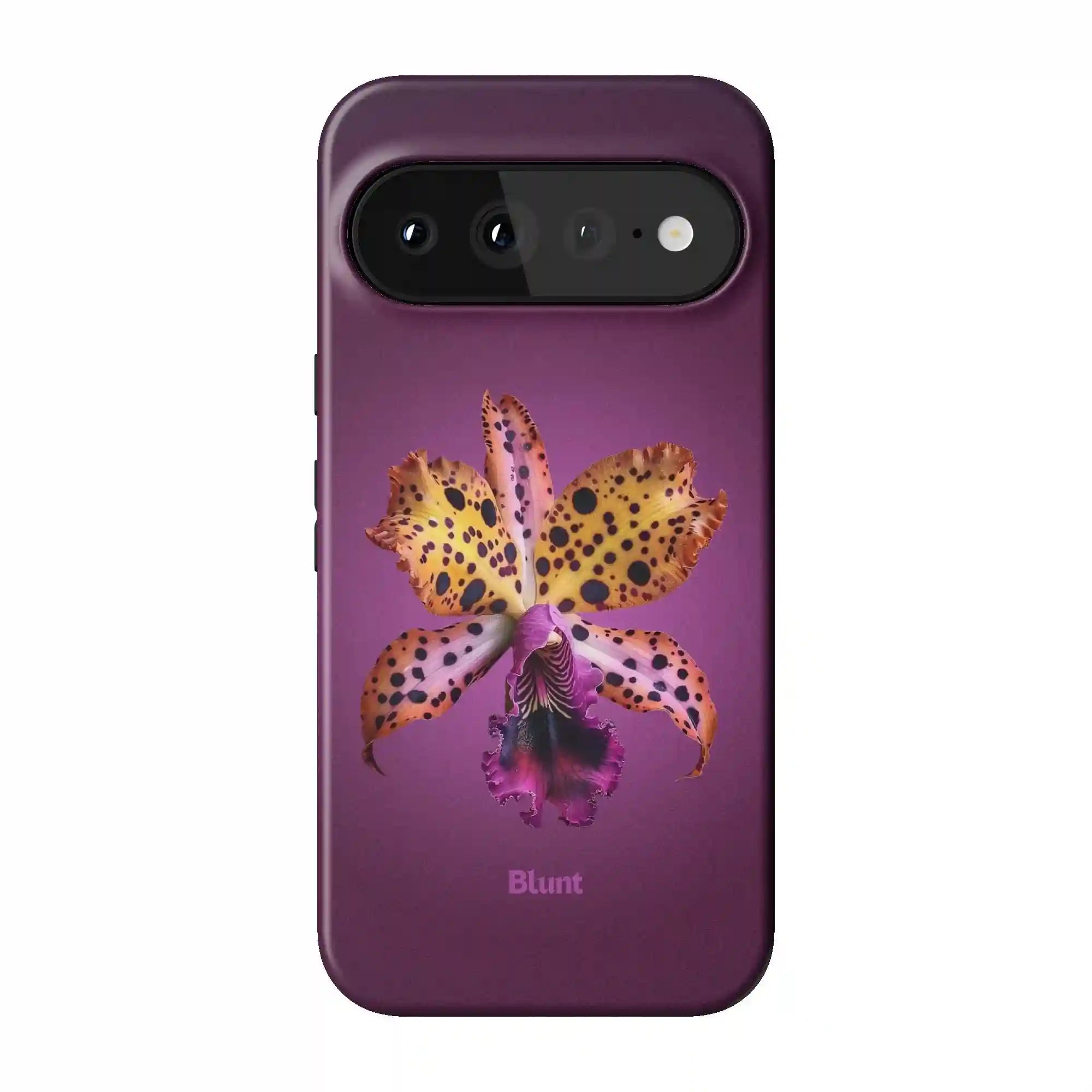bluntcasesonline.com