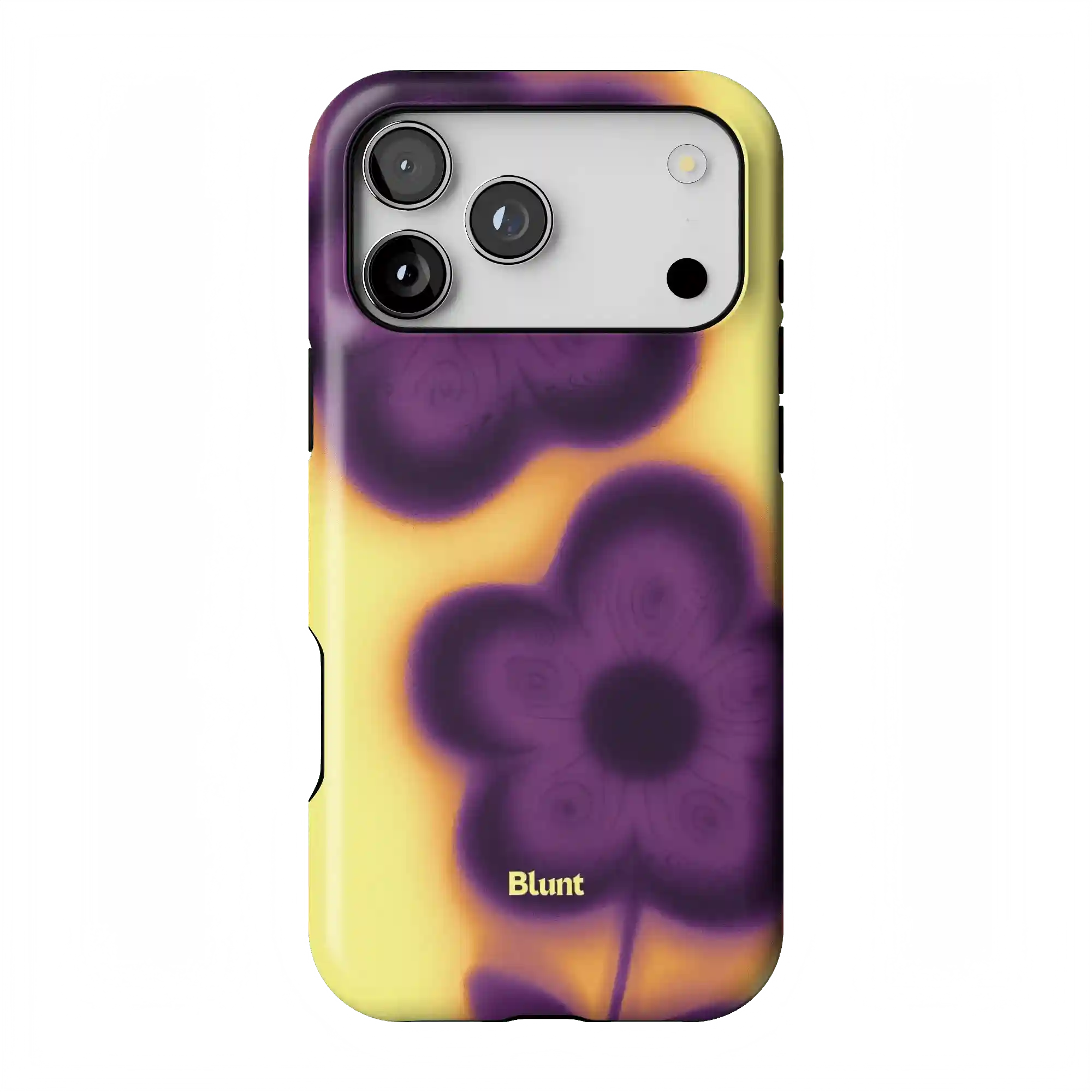 bluntcasesonline.com