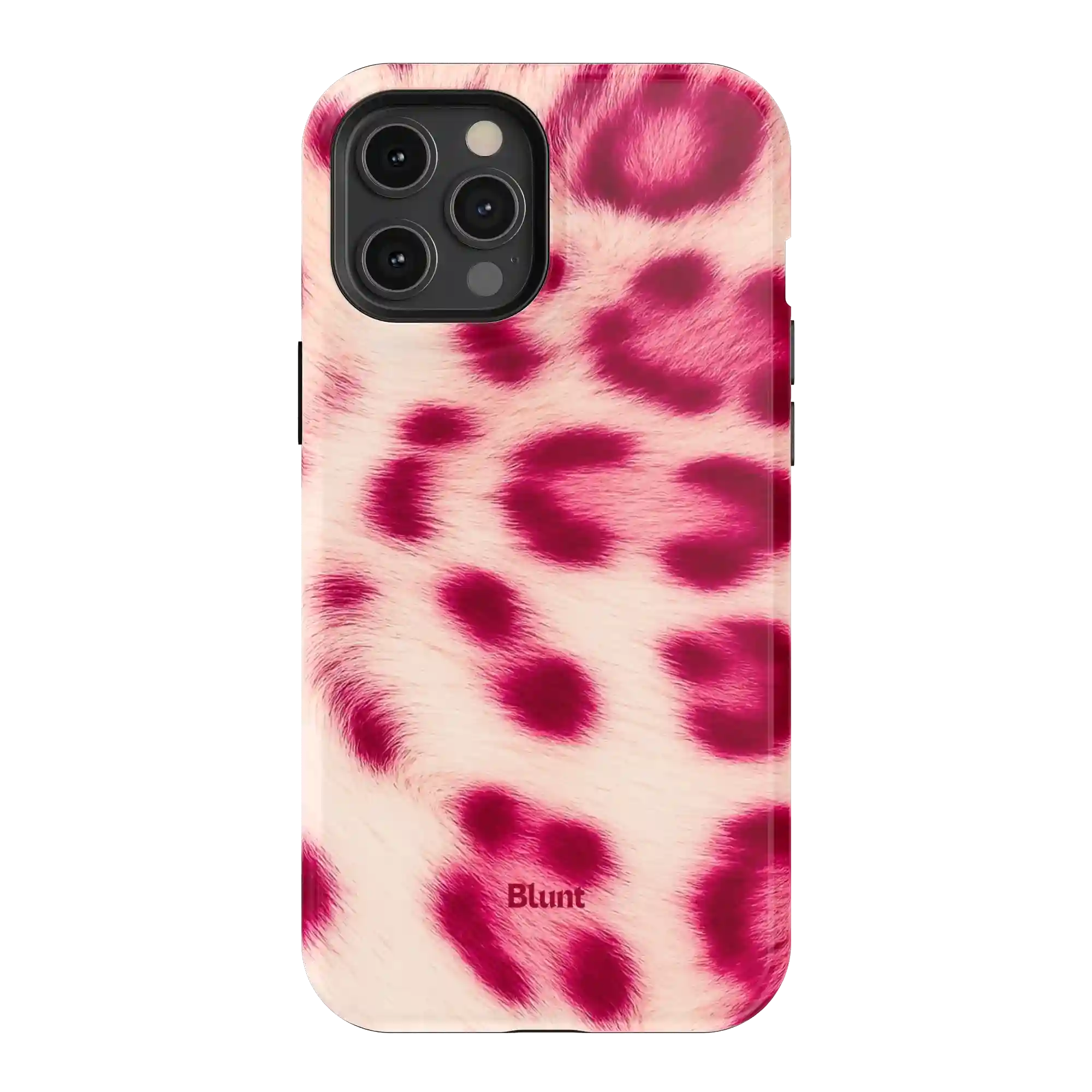 bluntcasesonline.com