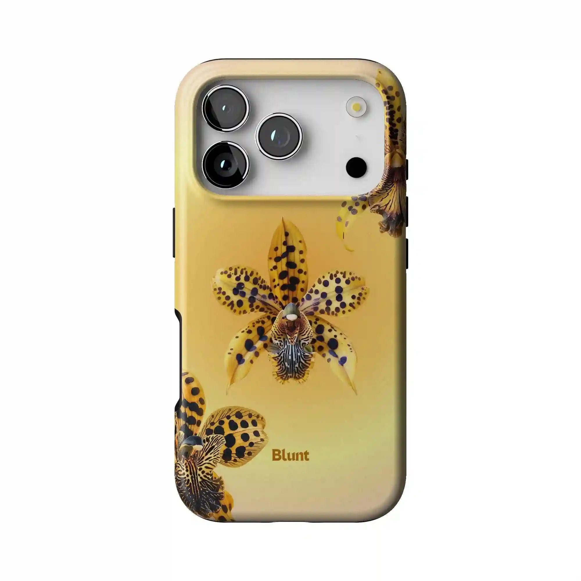 bluntcasesonline.com