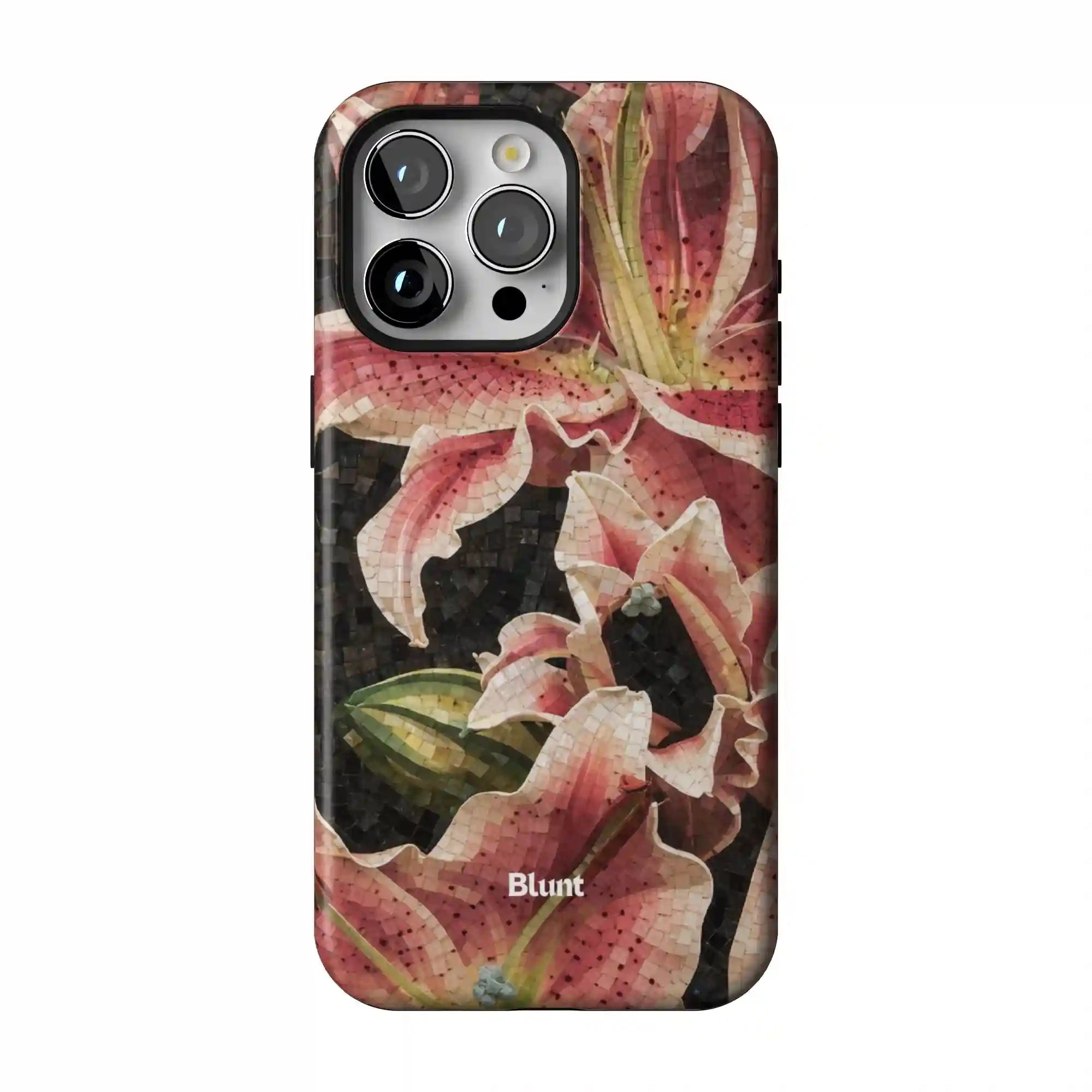 bluntcasesonline.com