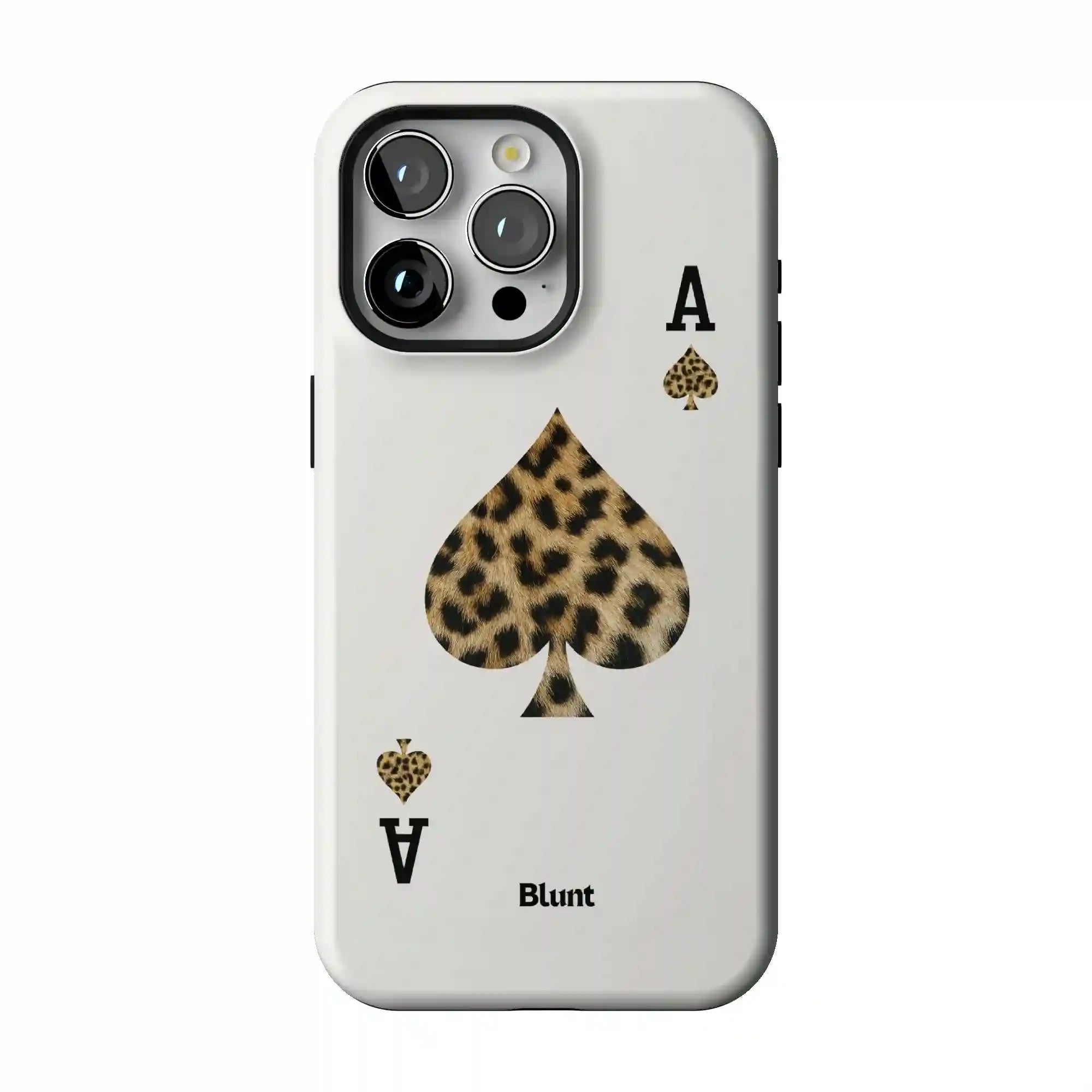 bluntcasesonline.com
