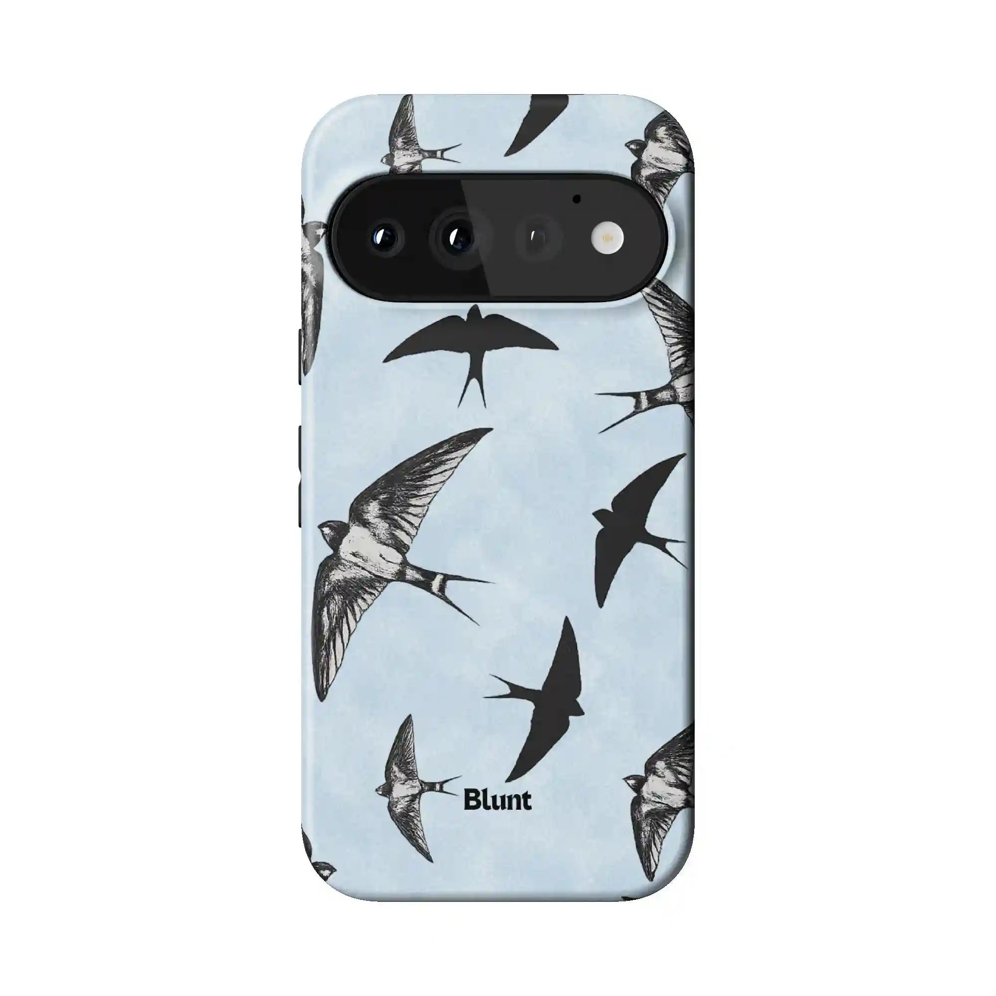 bluntcasesonline.com
