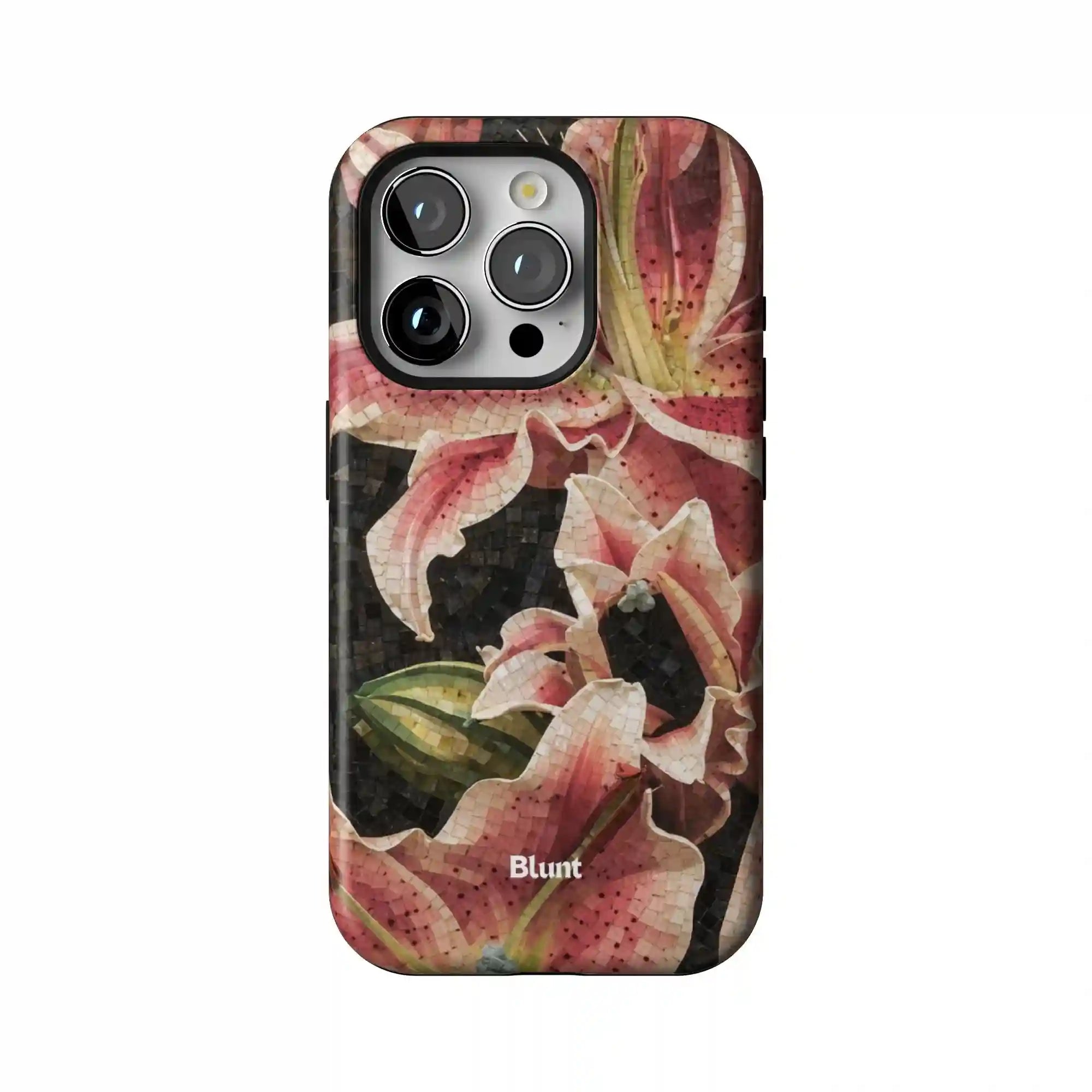 bluntcasesonline.com