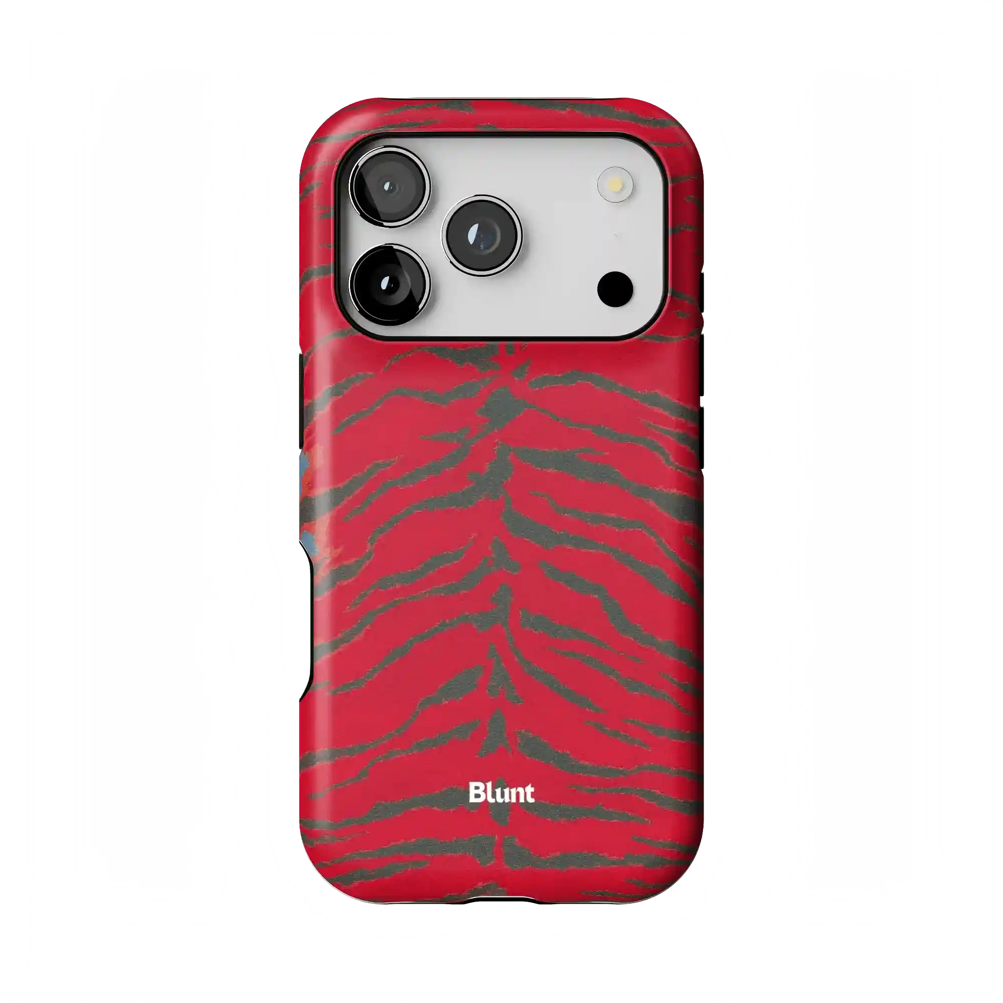 bluntcasesonline.com