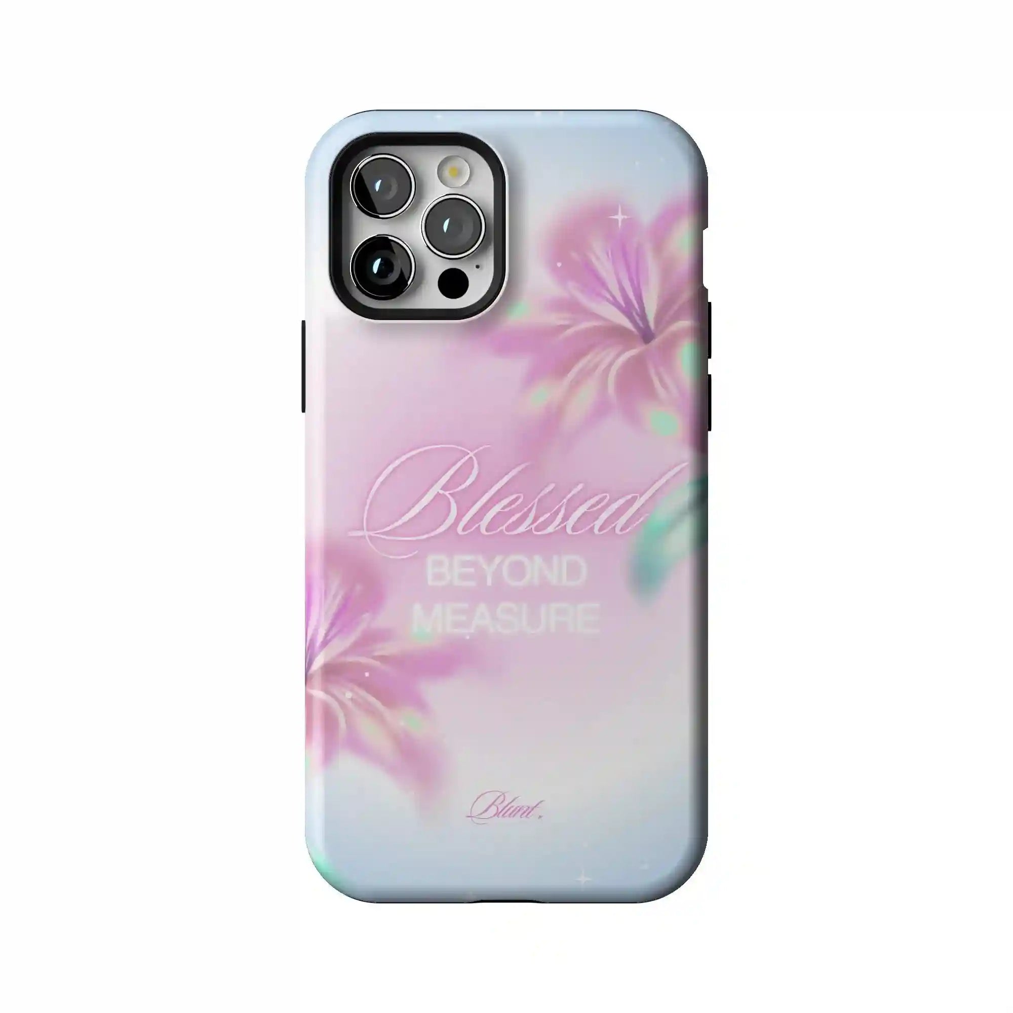 bluntcasesonline.com