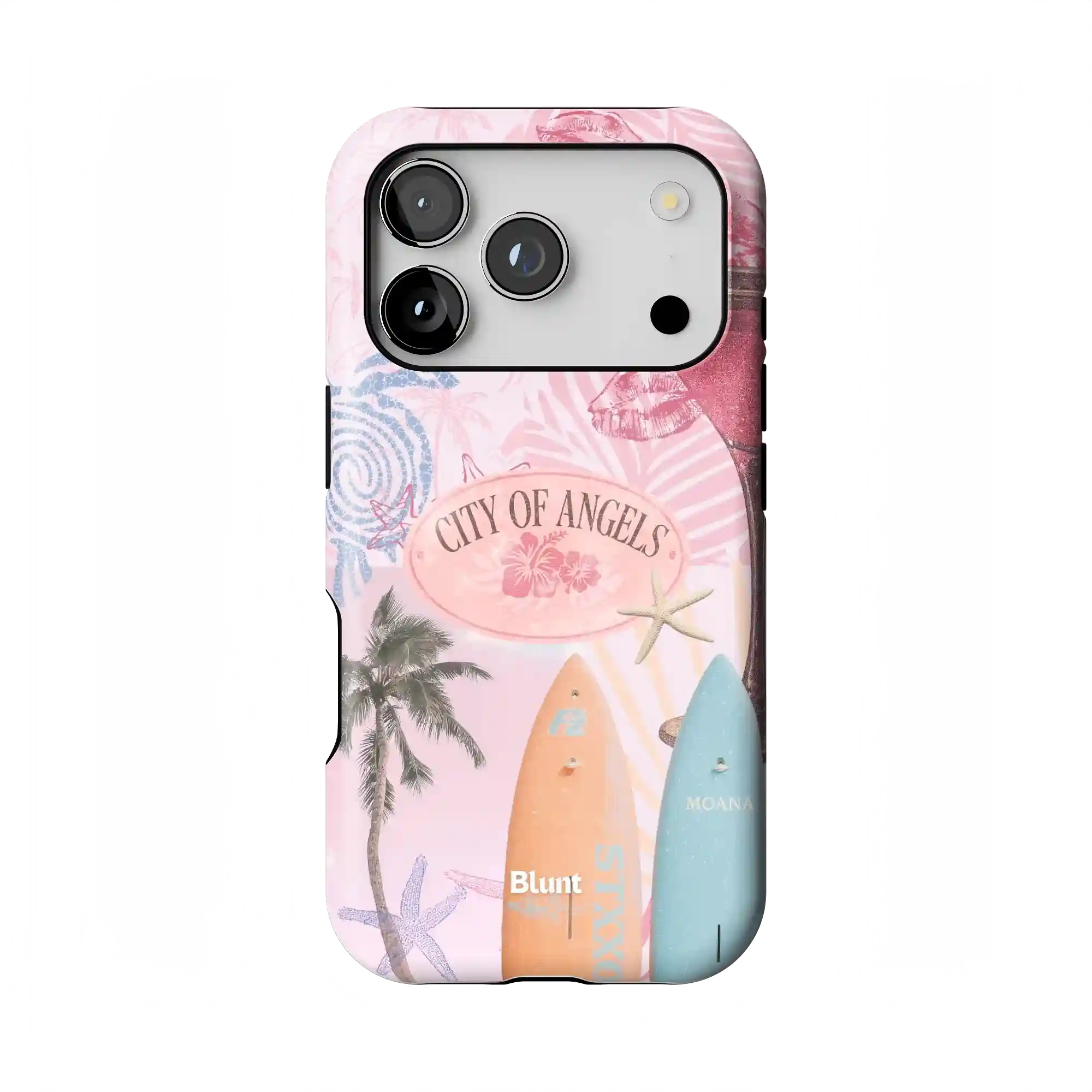 bluntcasesonline.com