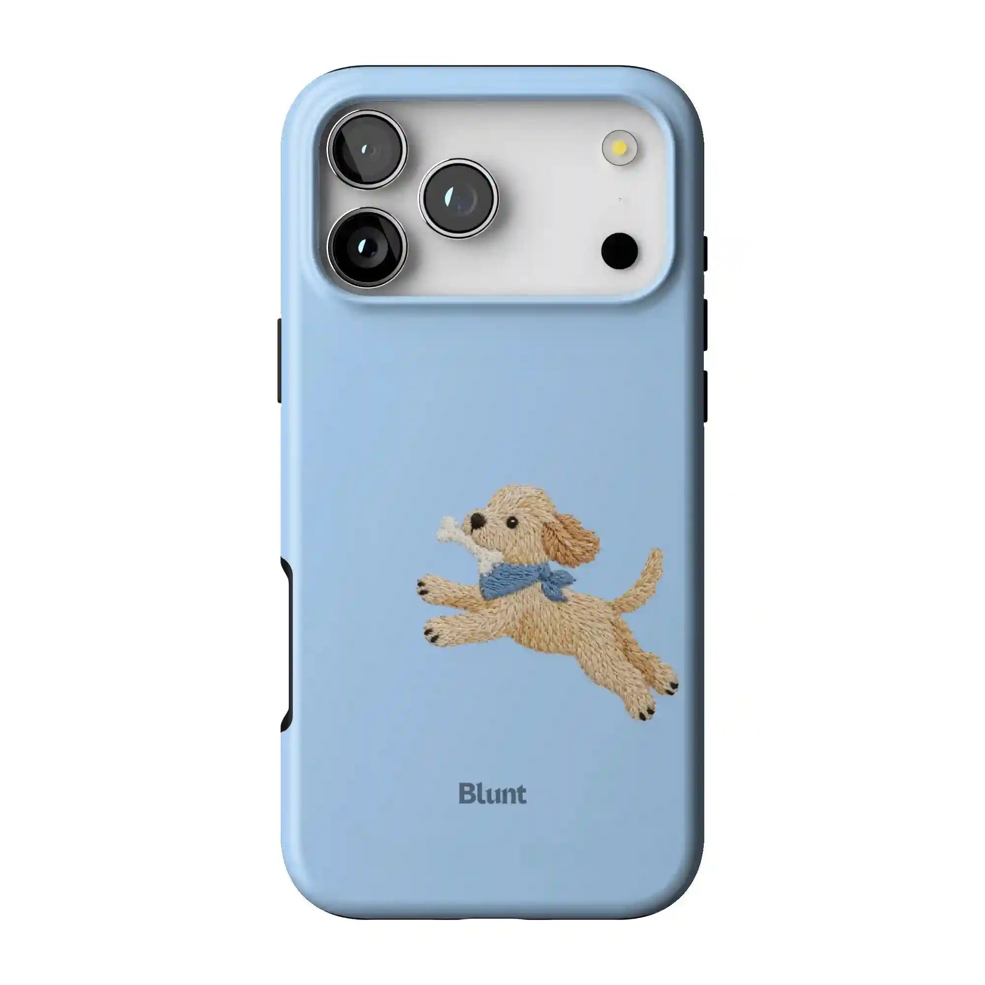 bluntcasesonline.com