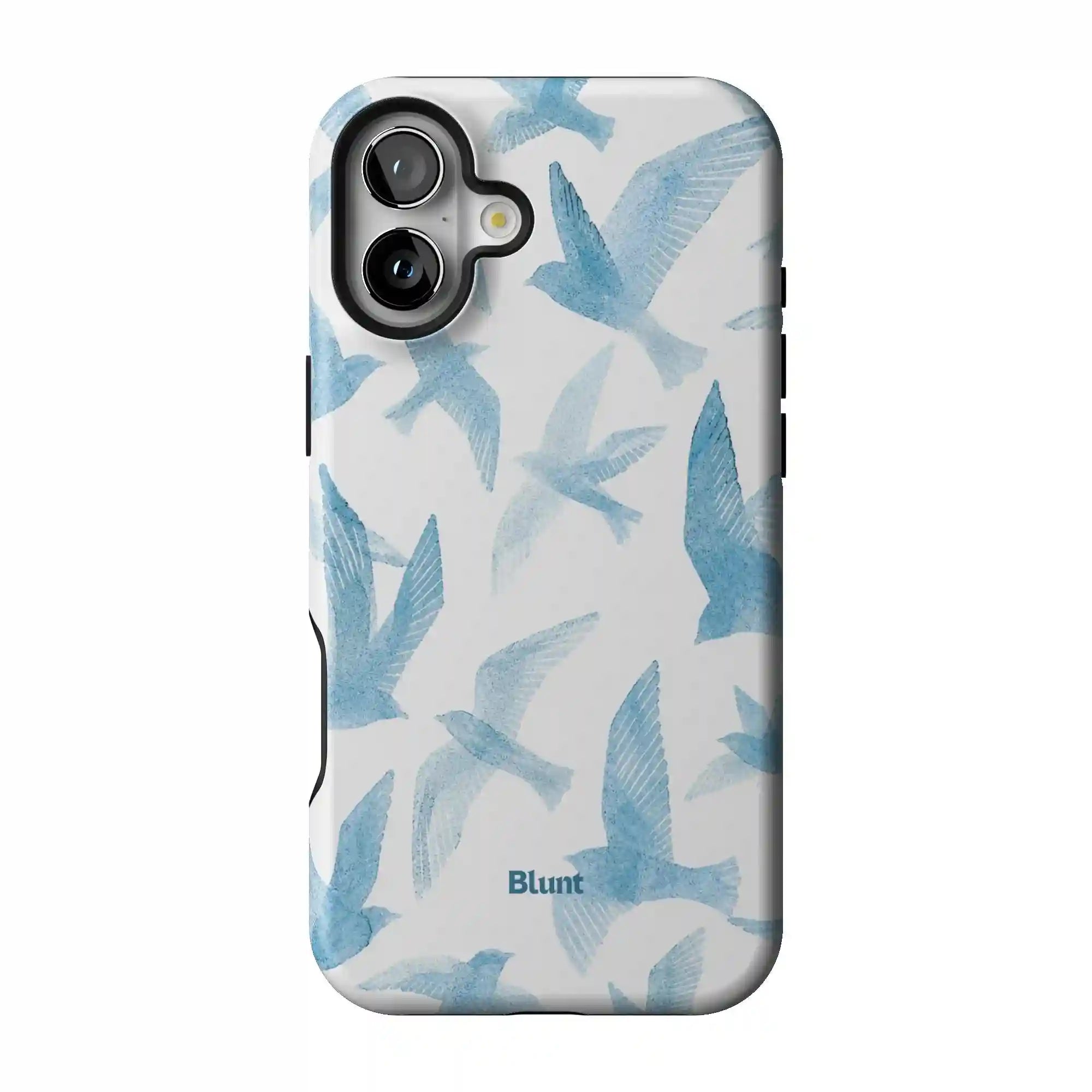 bluntcasesonline.com