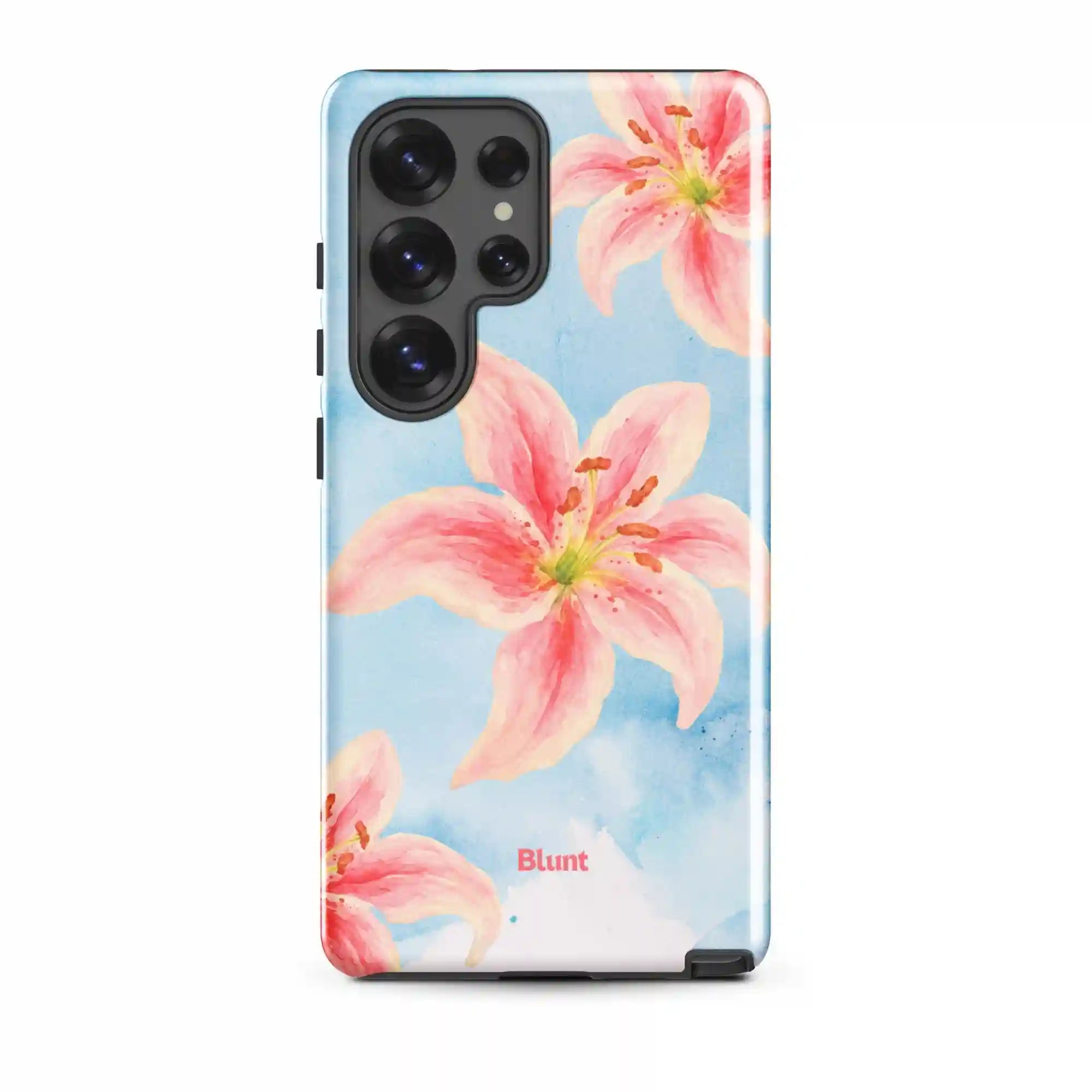 bluntcasesonline.com