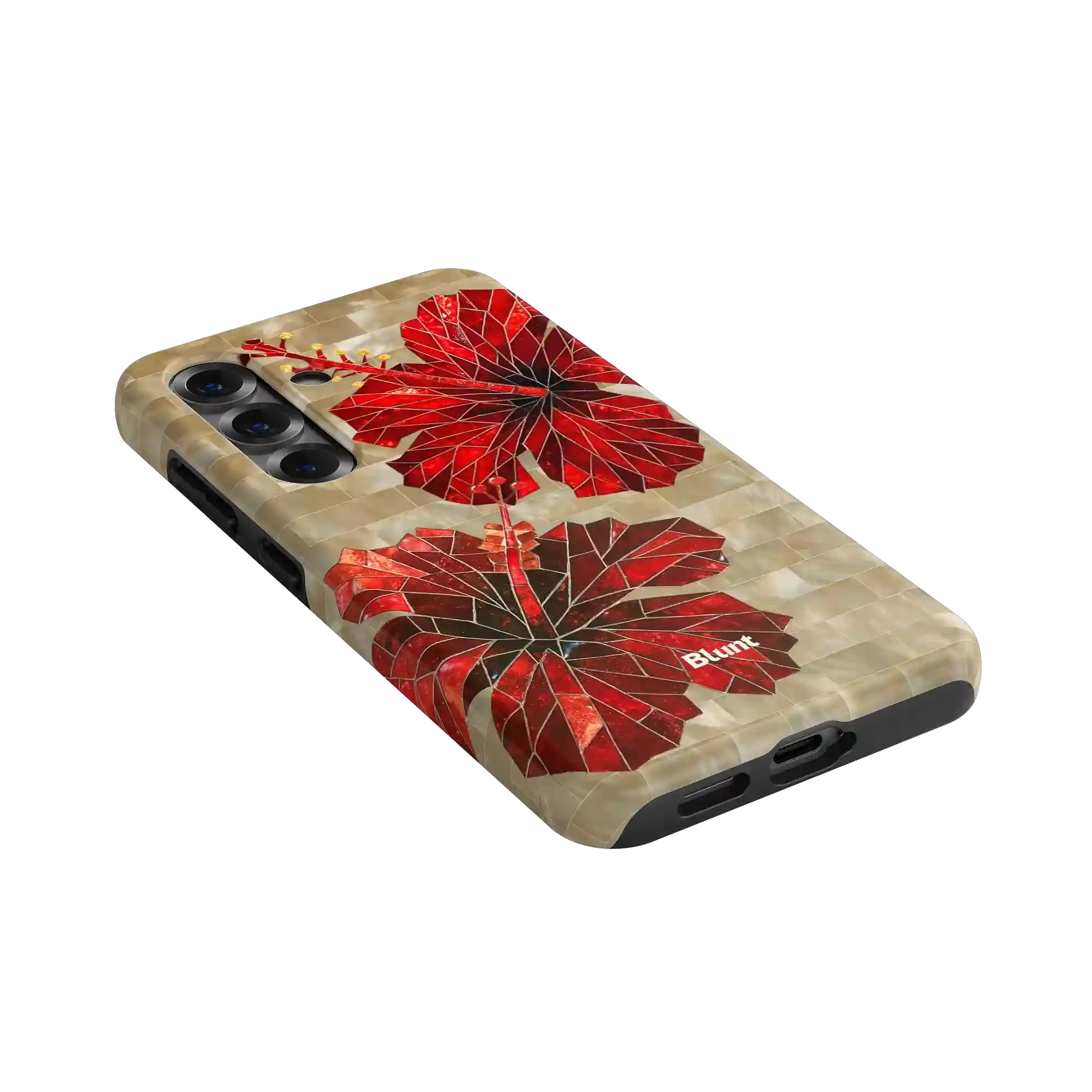 bluntcasesonline.com
