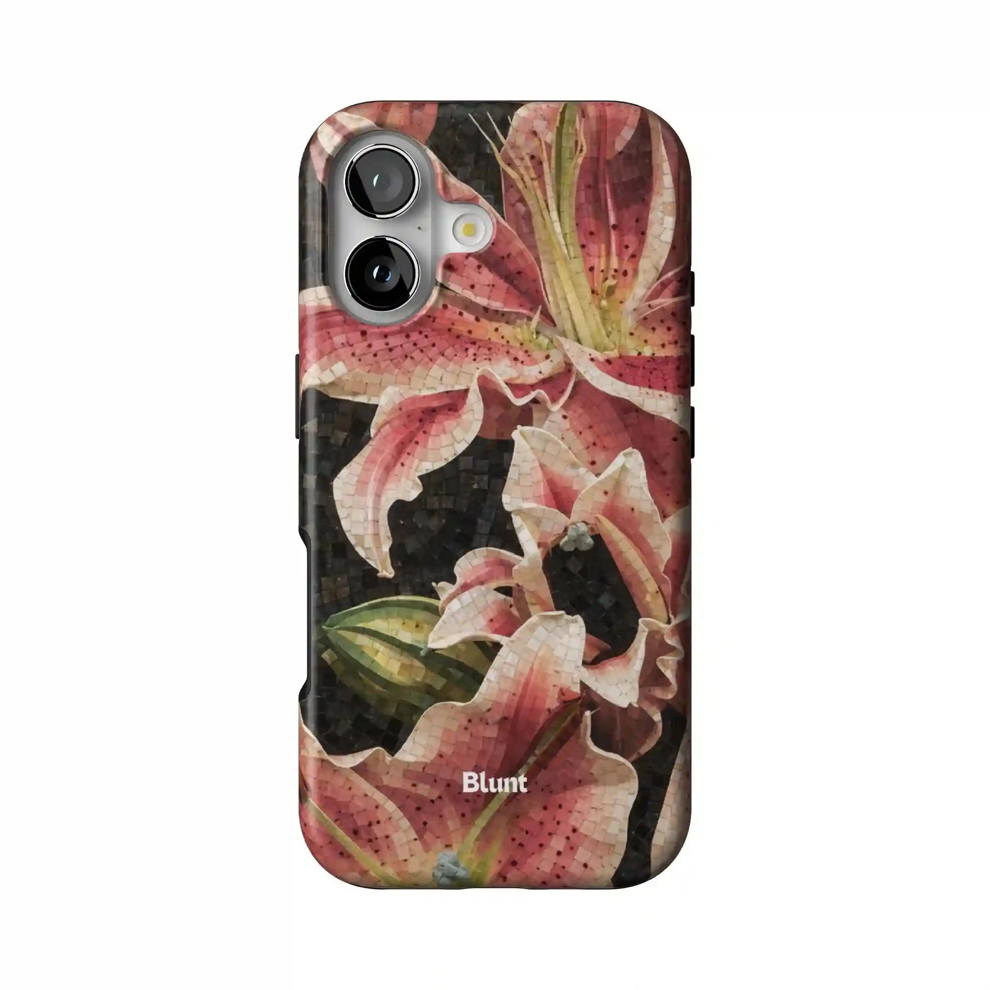 bluntcasesonline.com