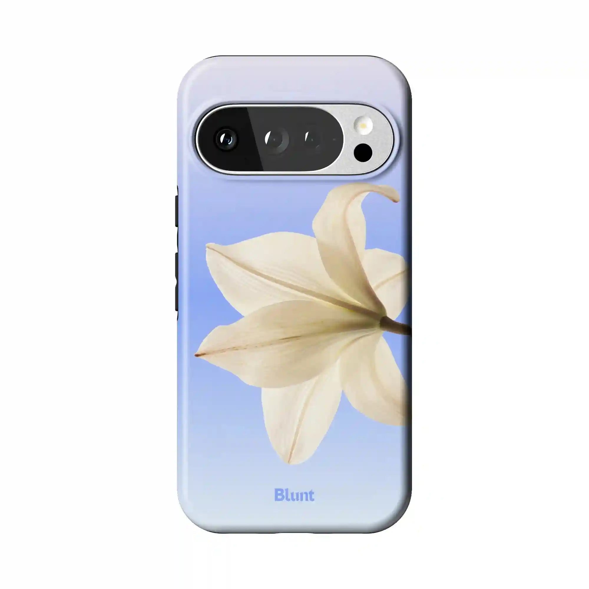 bluntcasesonline.com