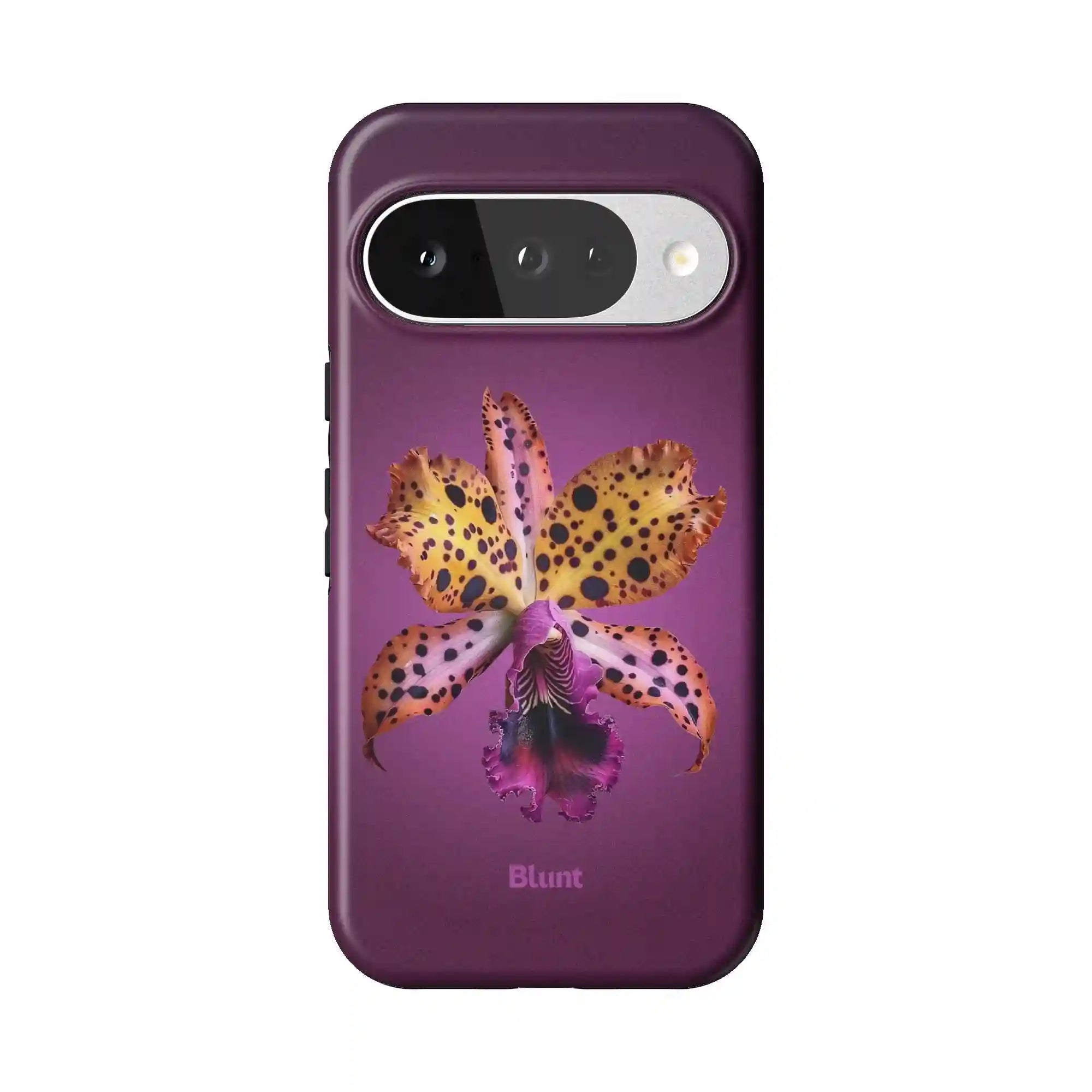 bluntcasesonline.com