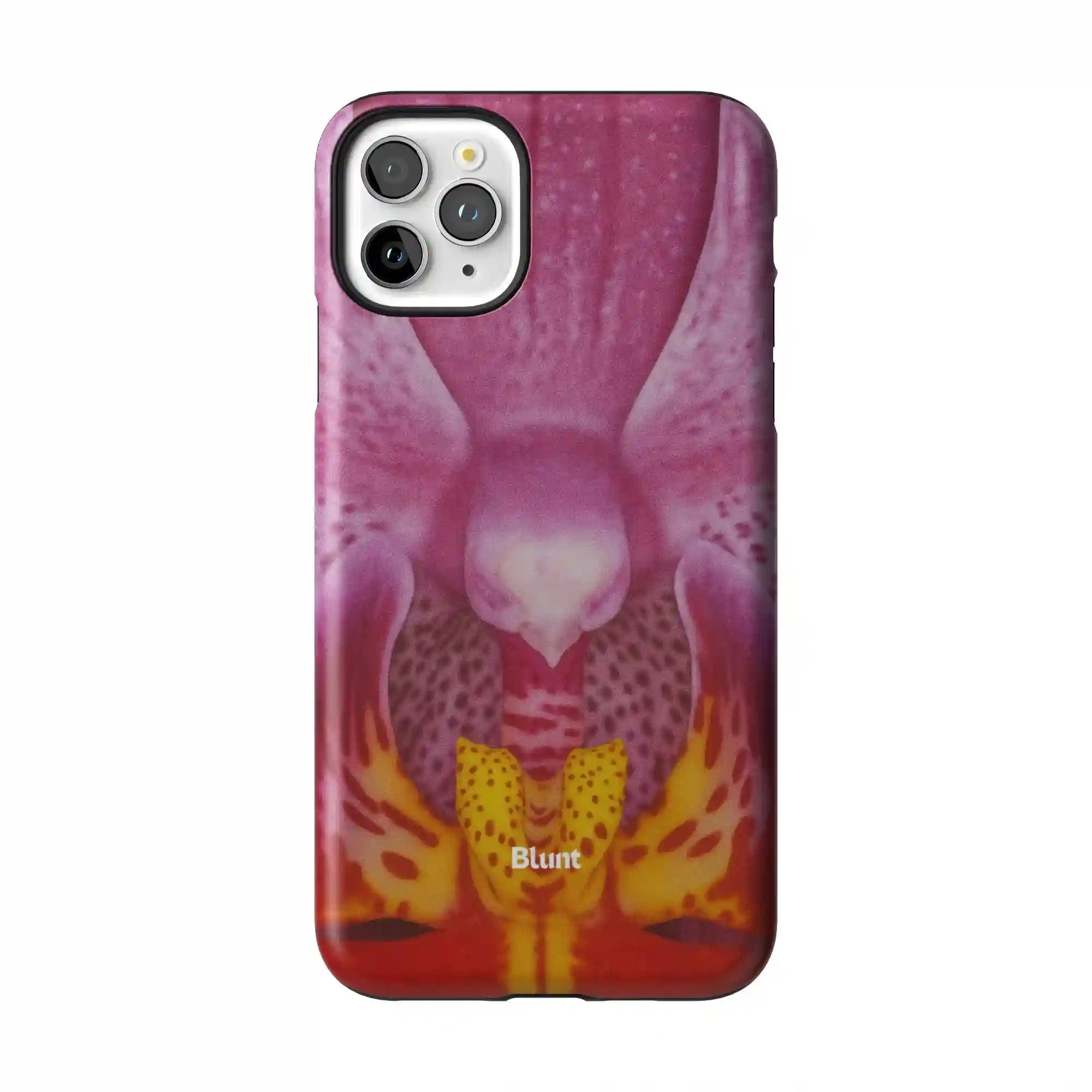 bluntcasesonline.com