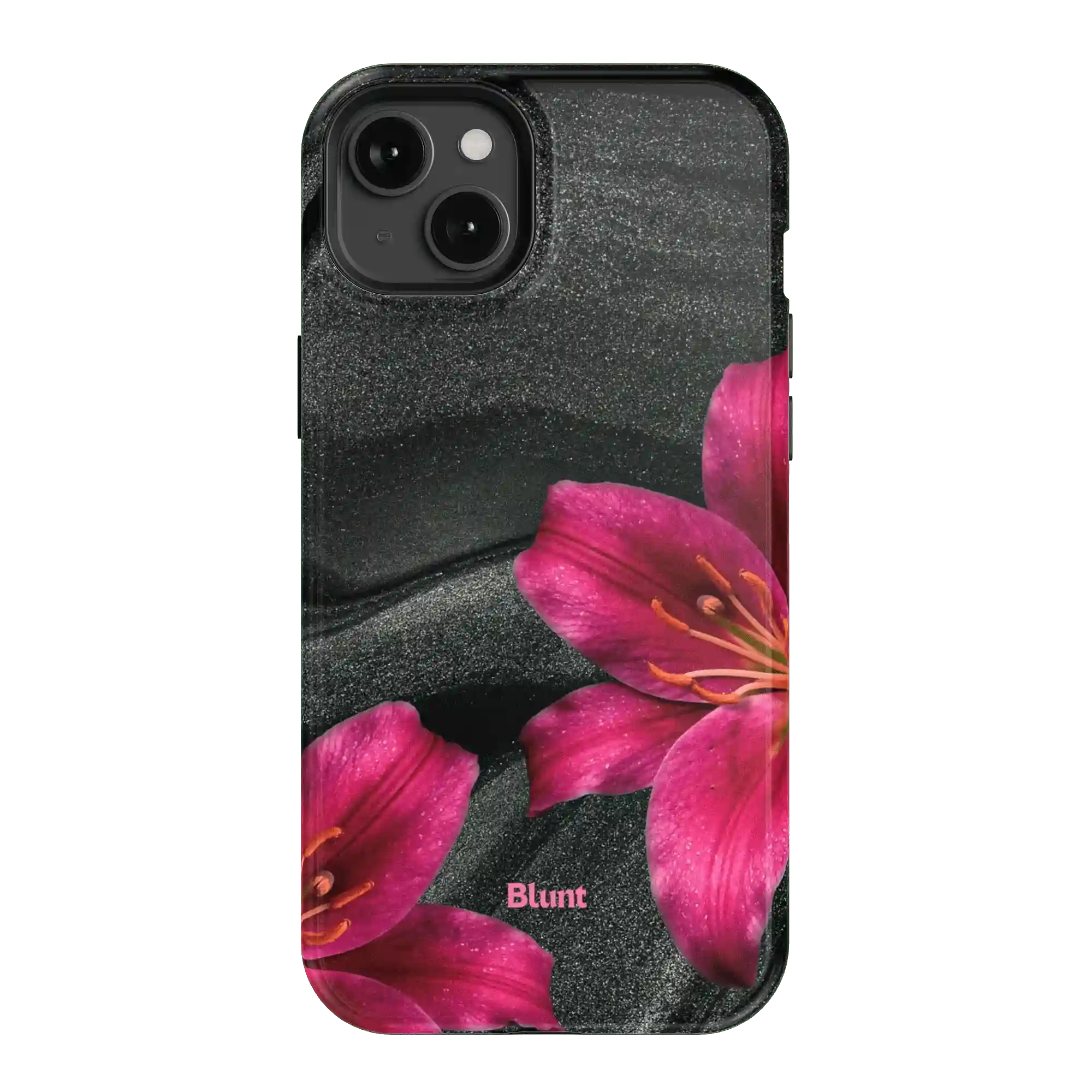bluntcasesonline.com