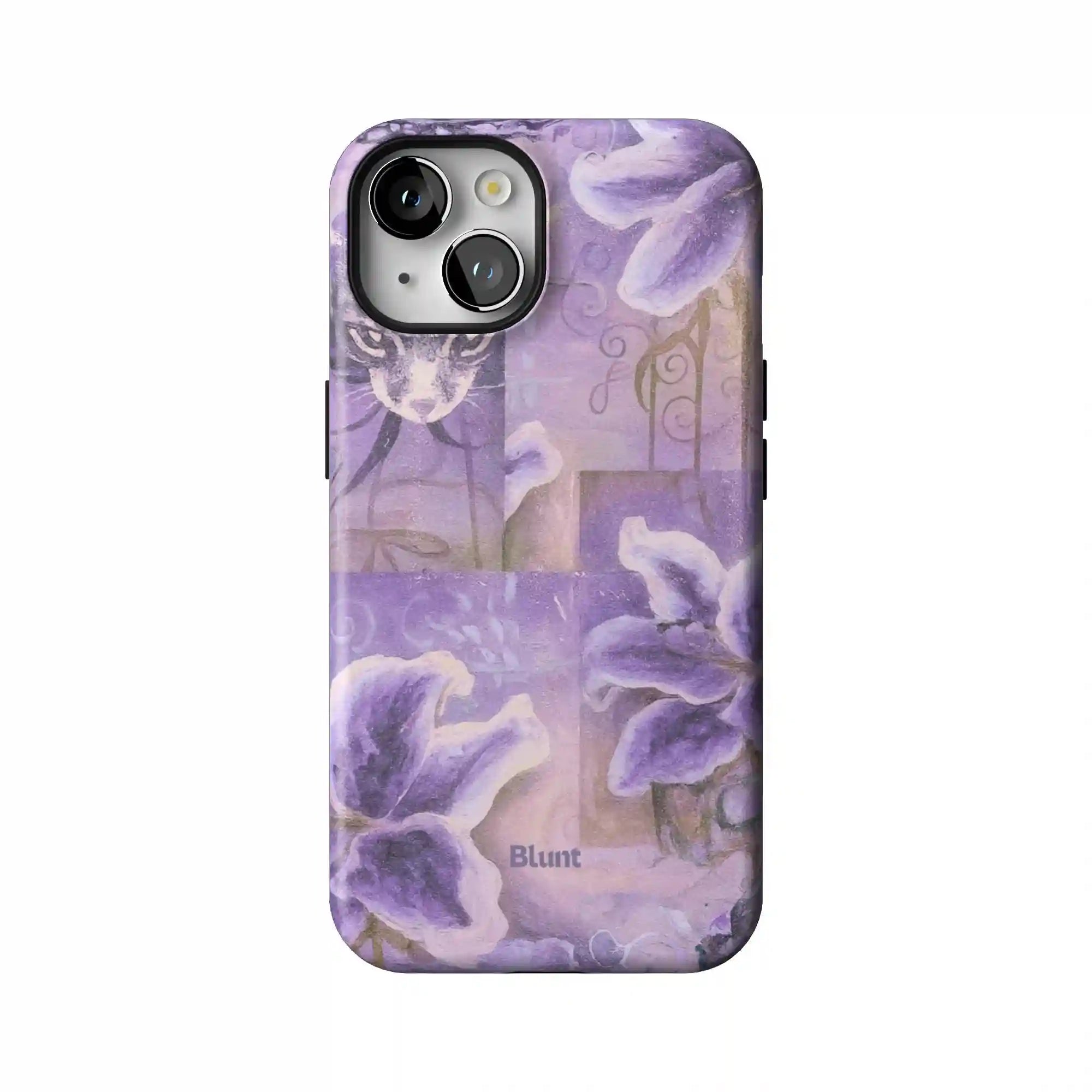 bluntcasesonline.com