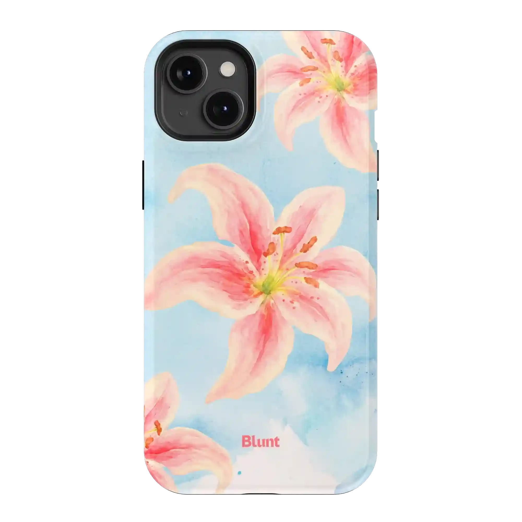 bluntcasesonline.com