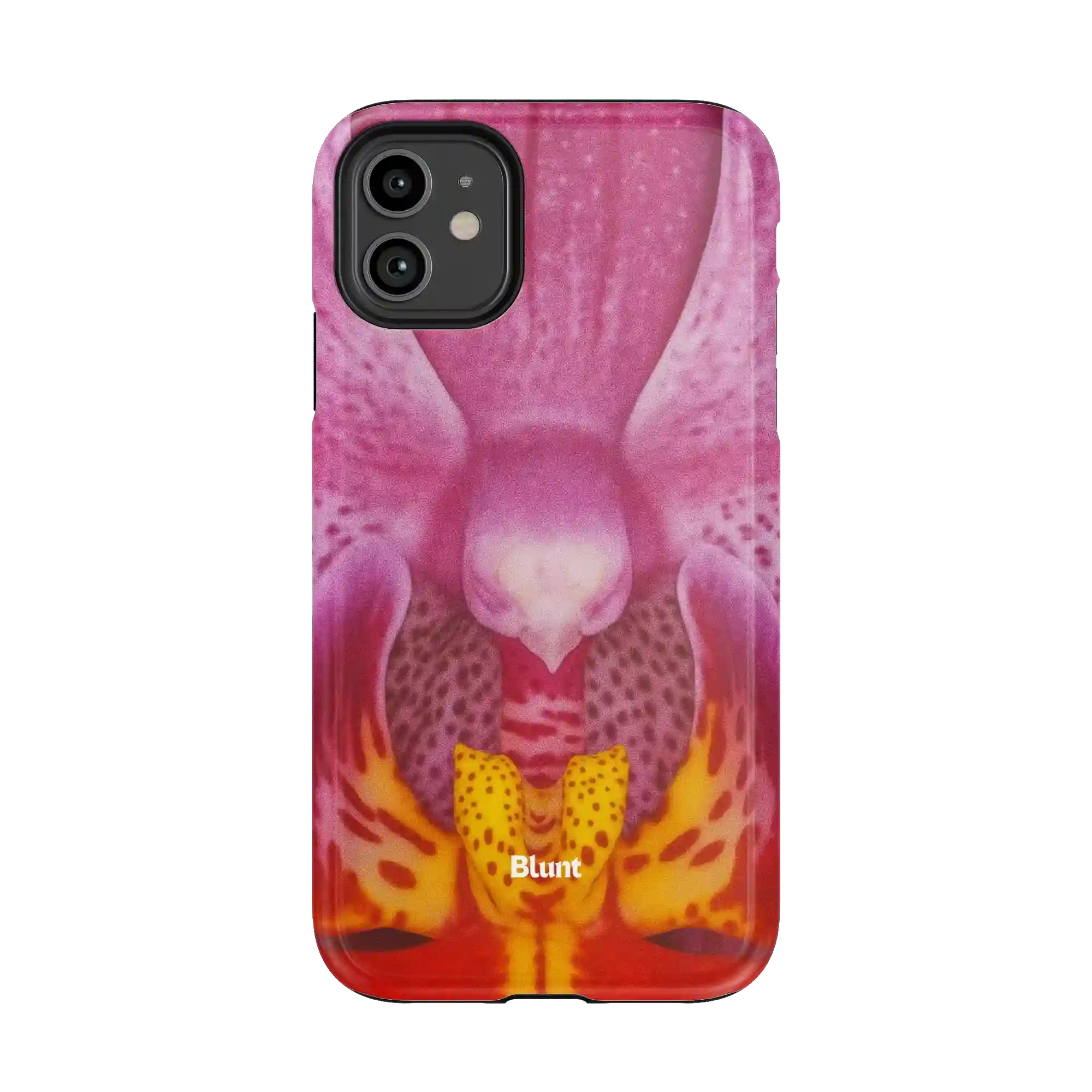 bluntcasesonline.com