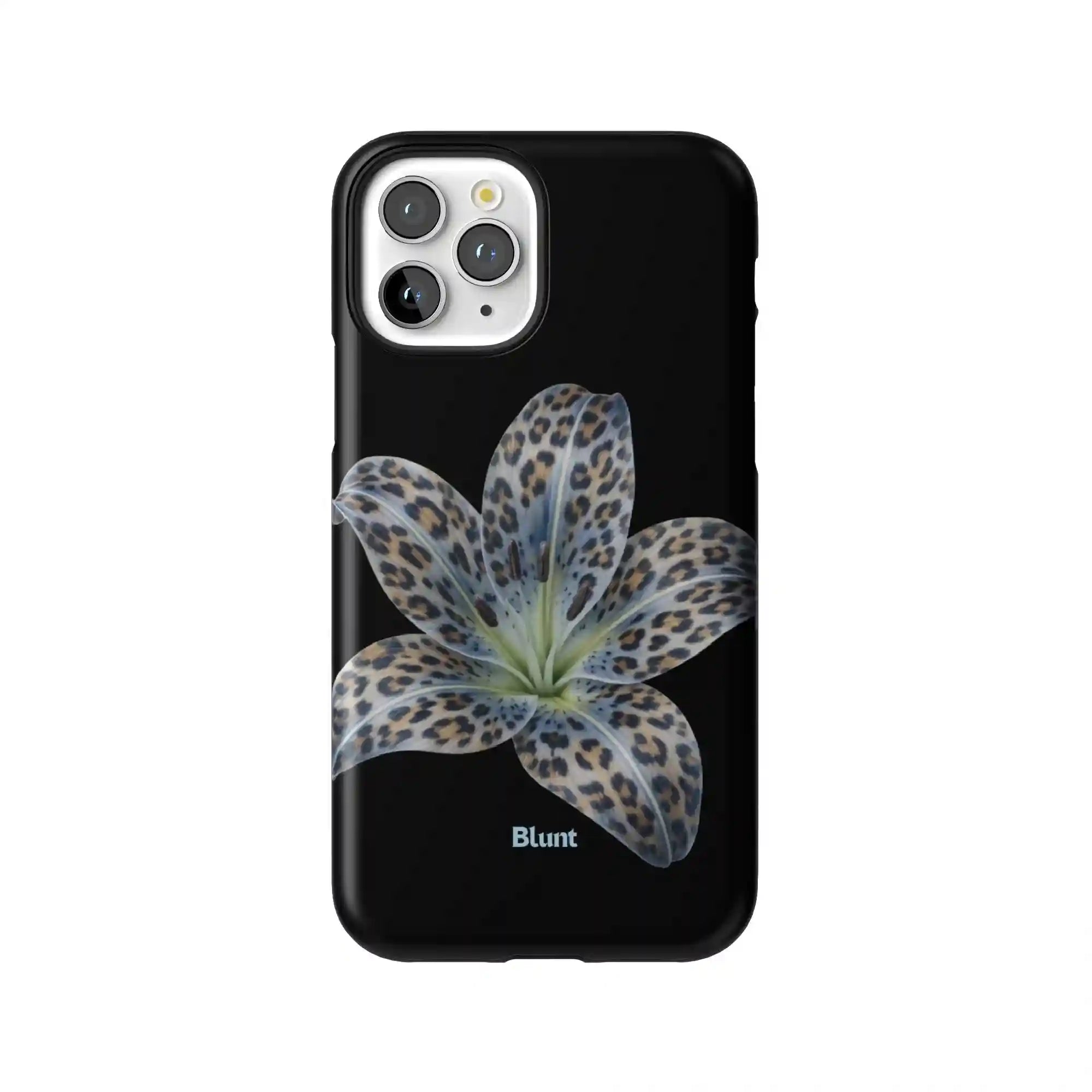 bluntcasesonline.com
