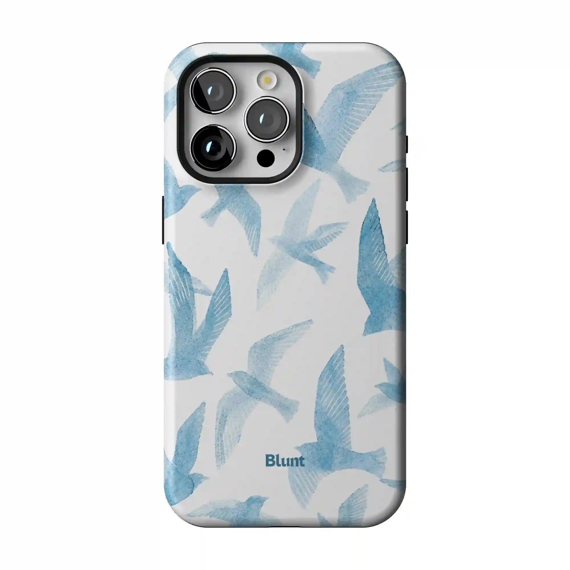 bluntcasesonline.com
